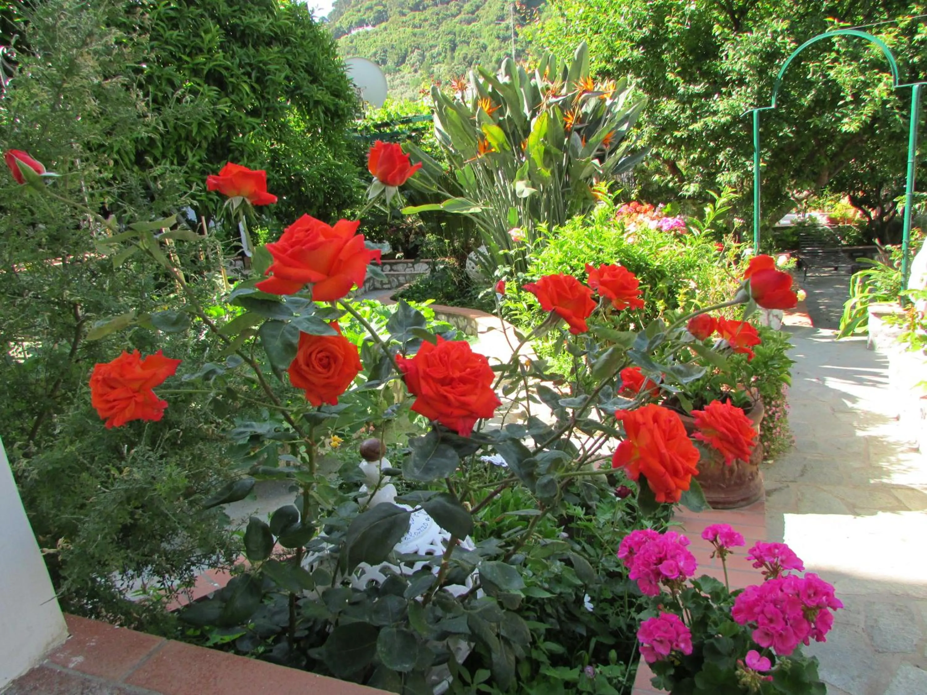 Garden in Casa Palazzo a Mare