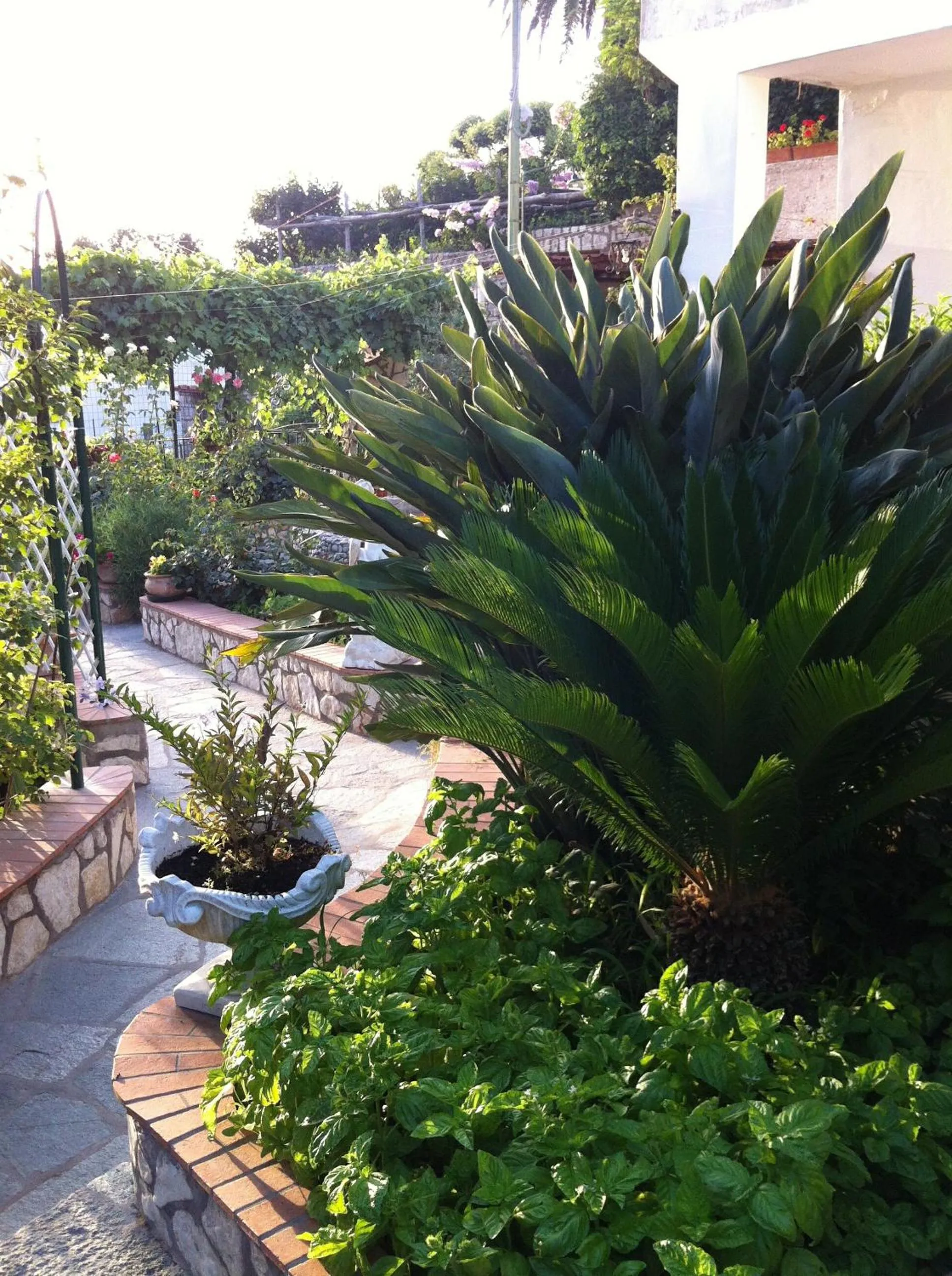 Spring in Casa Palazzo a Mare