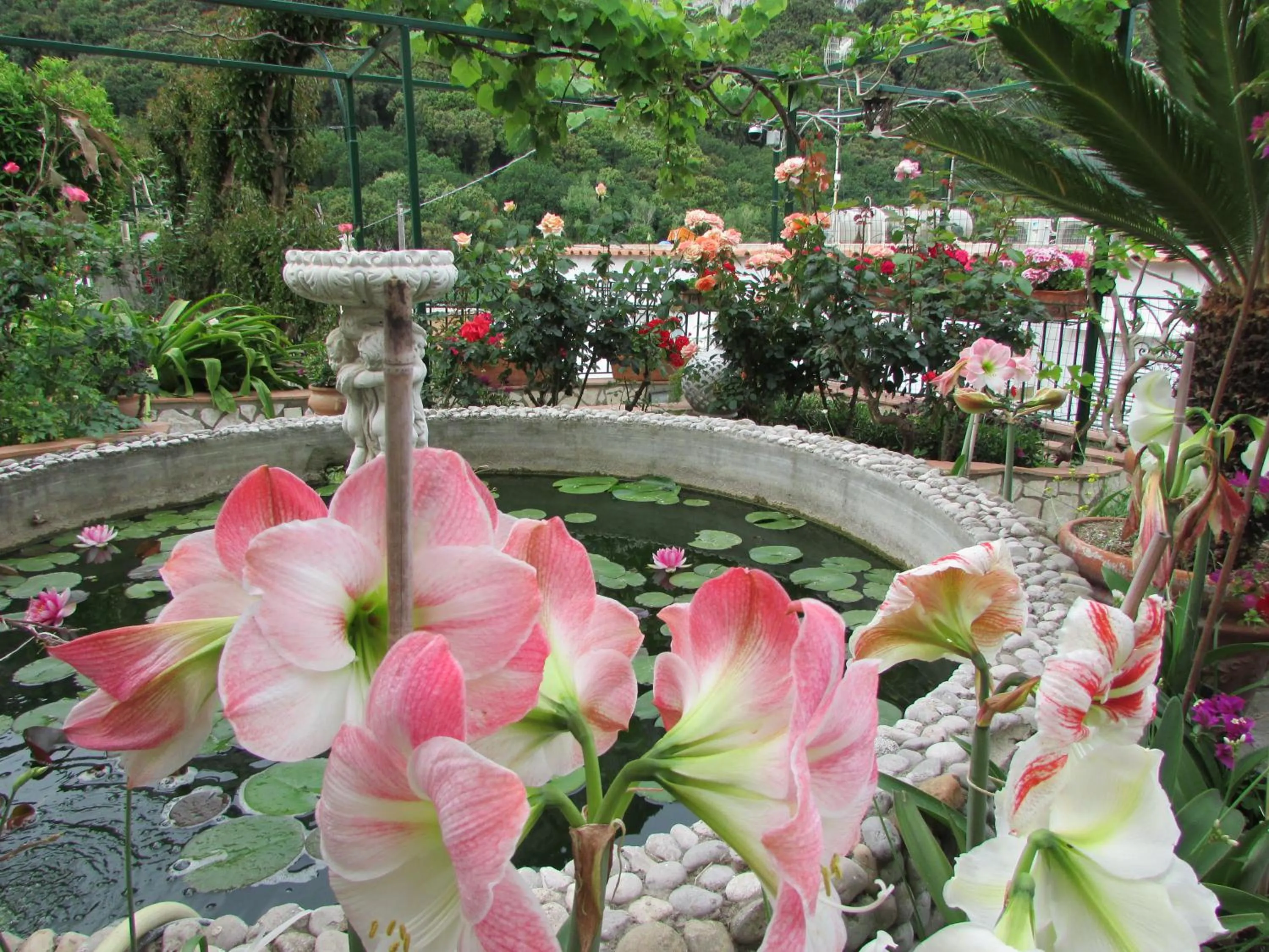 Spring in Casa Palazzo a Mare