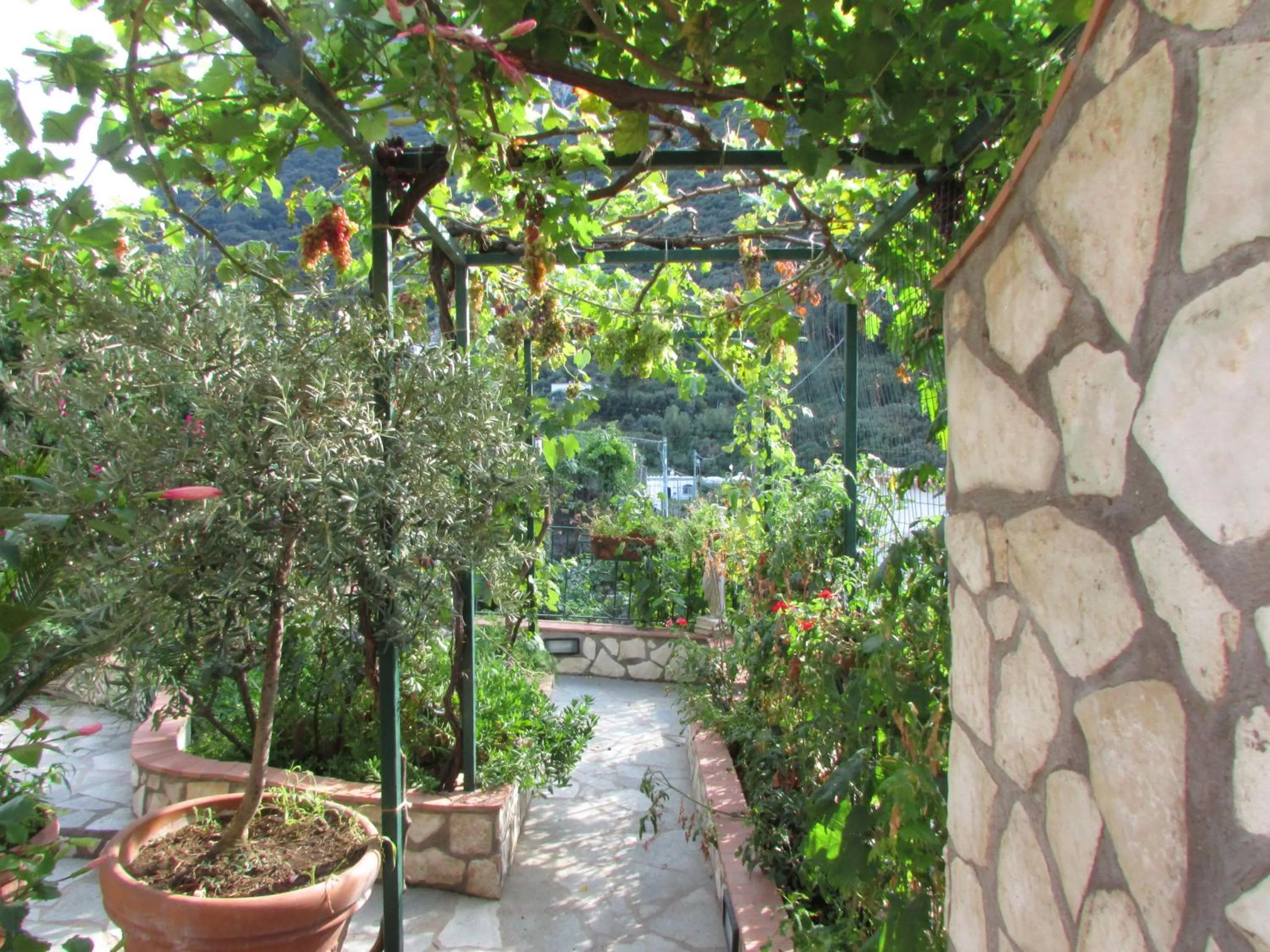 Garden in Casa Palazzo a Mare