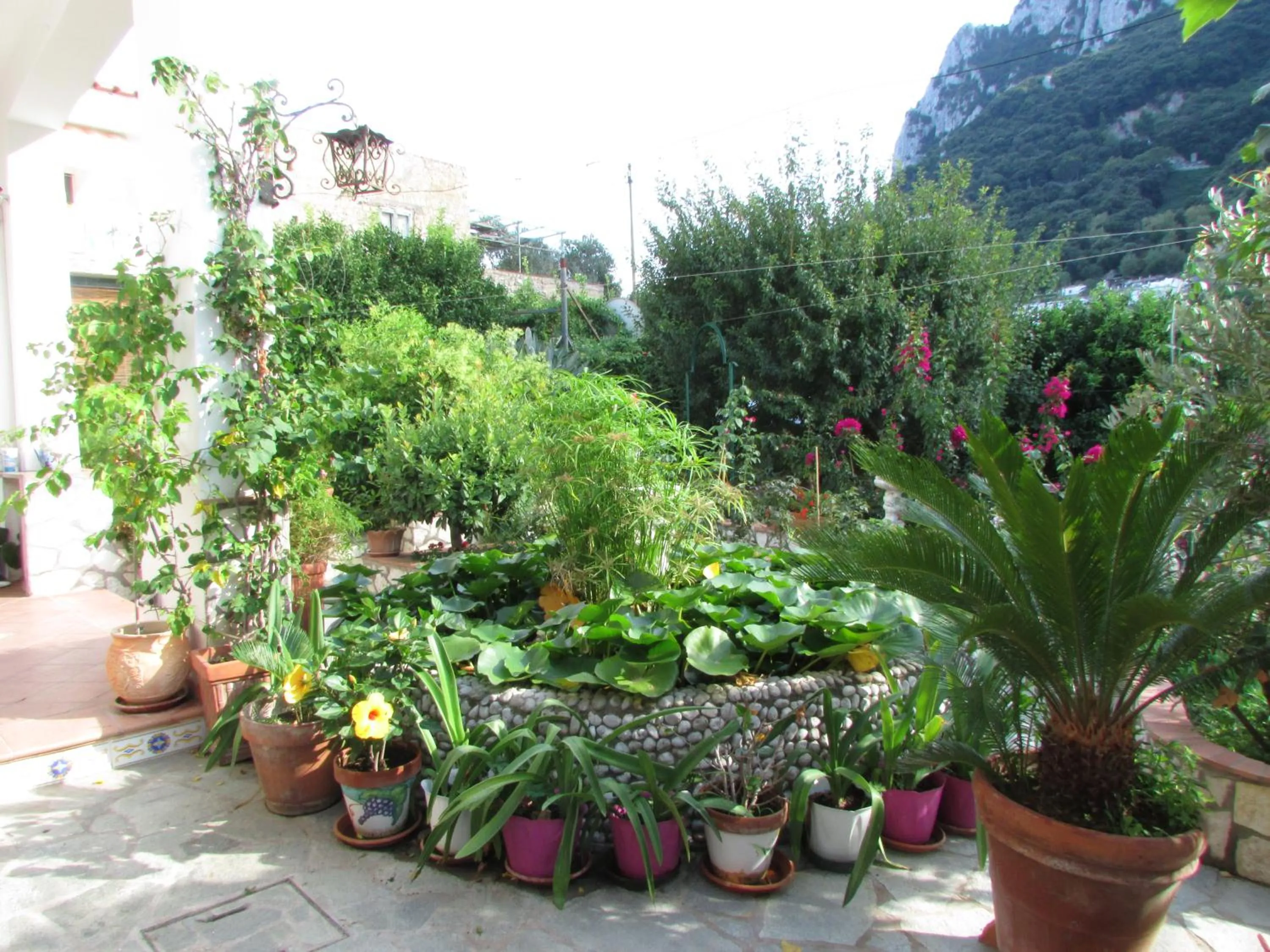 Garden in Casa Palazzo a Mare