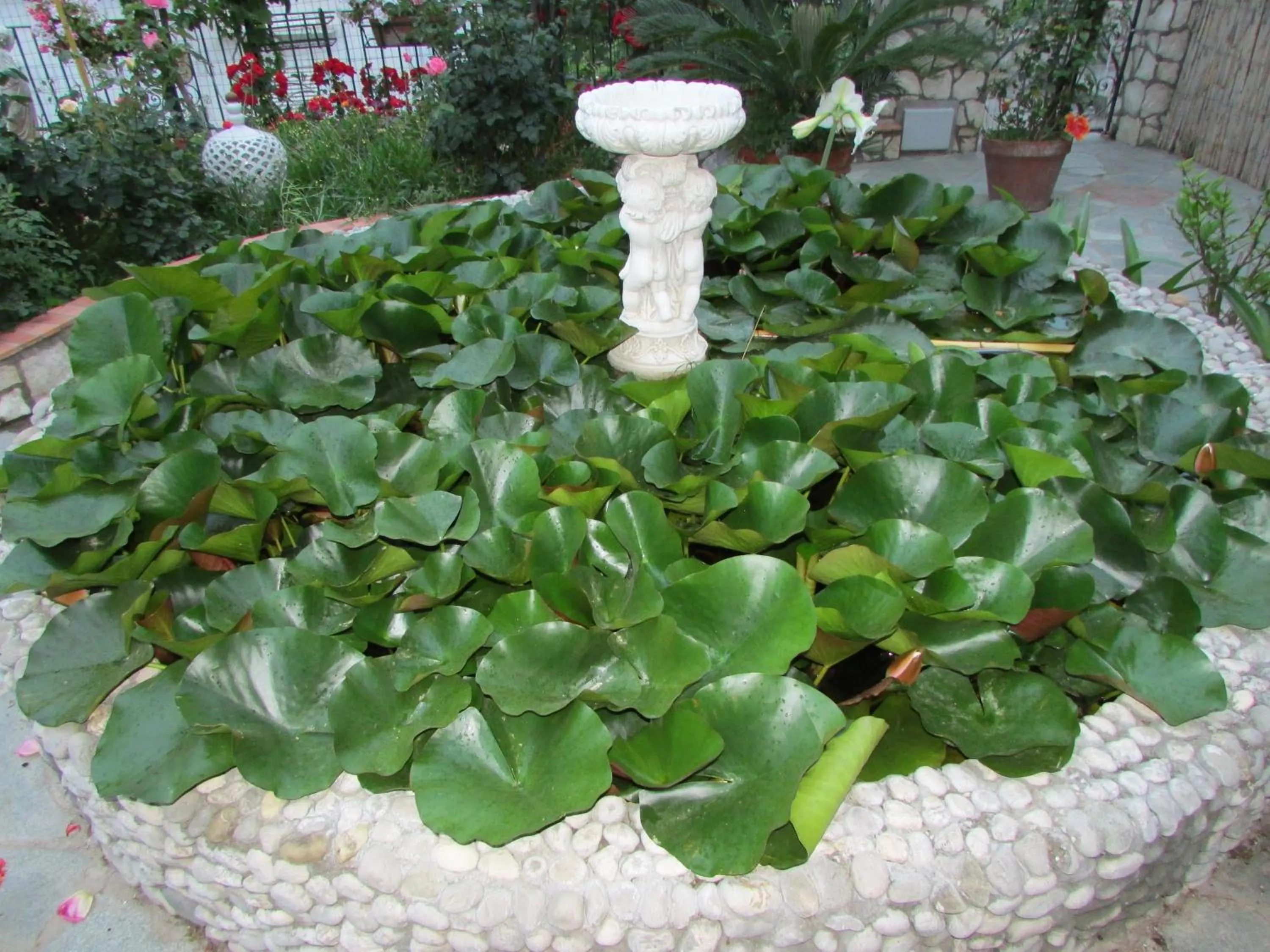 Garden in Casa Palazzo a Mare