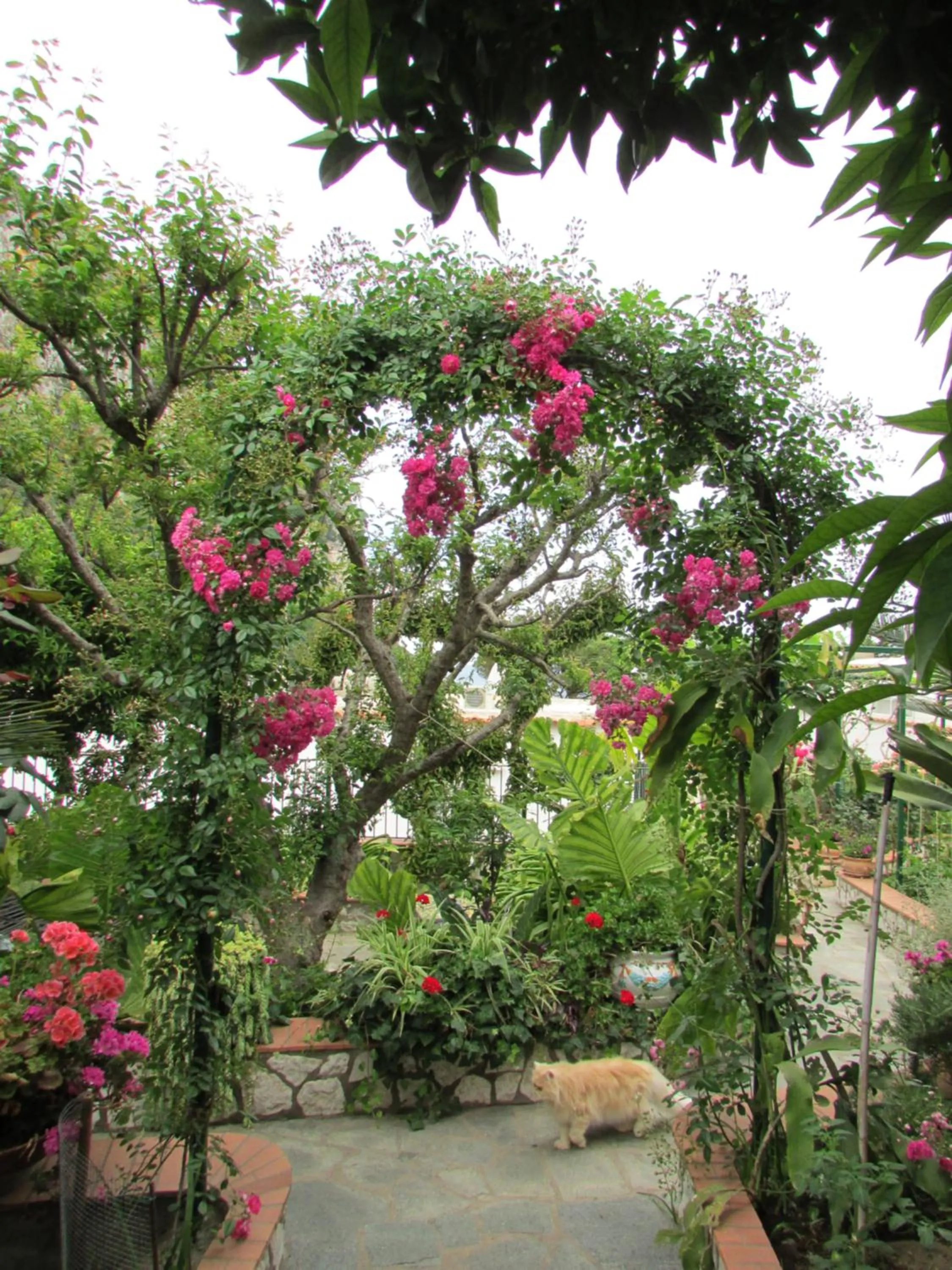 Spring in Casa Palazzo a Mare