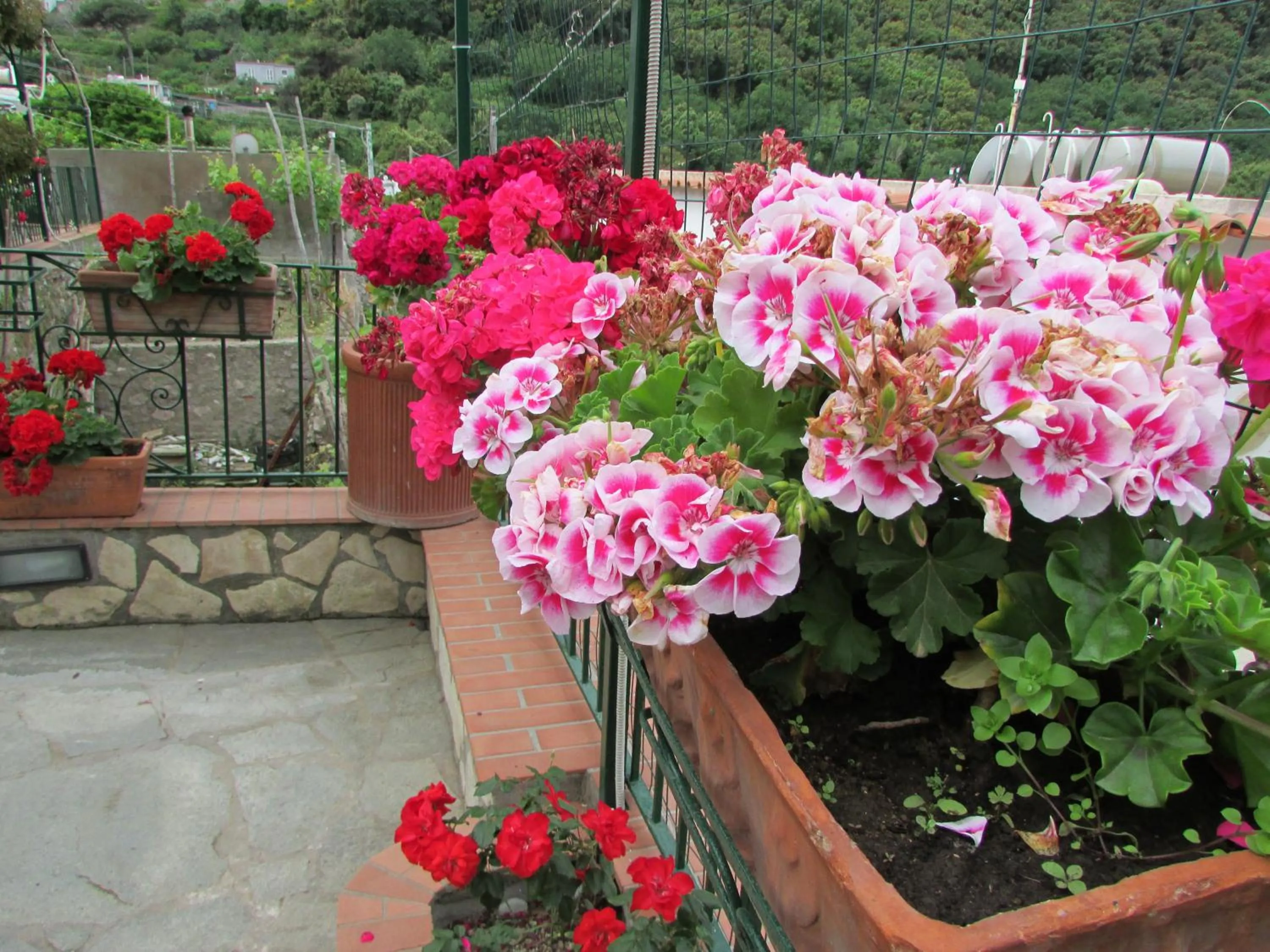 Spring in Casa Palazzo a Mare