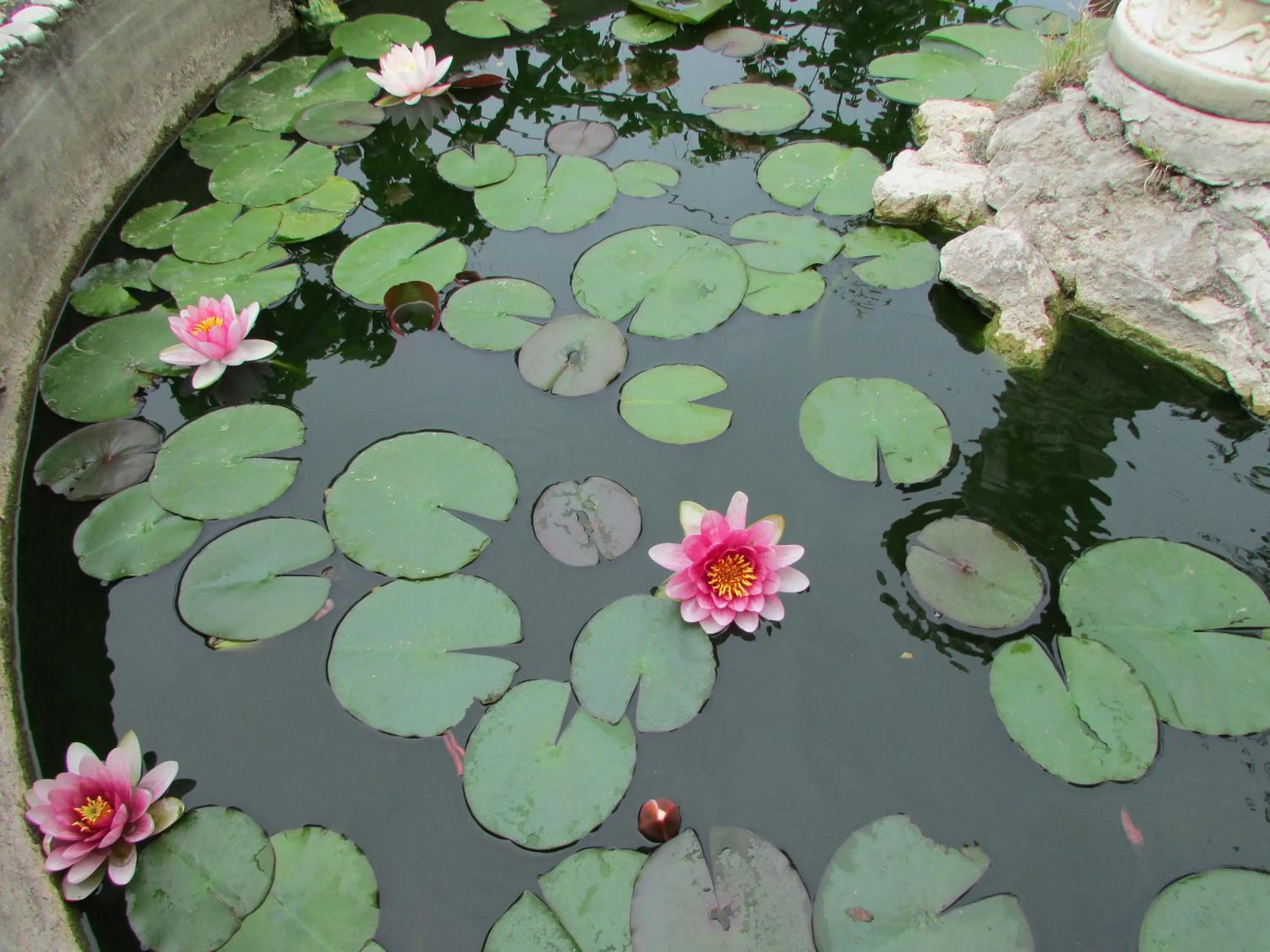 Spring in Casa Palazzo a Mare