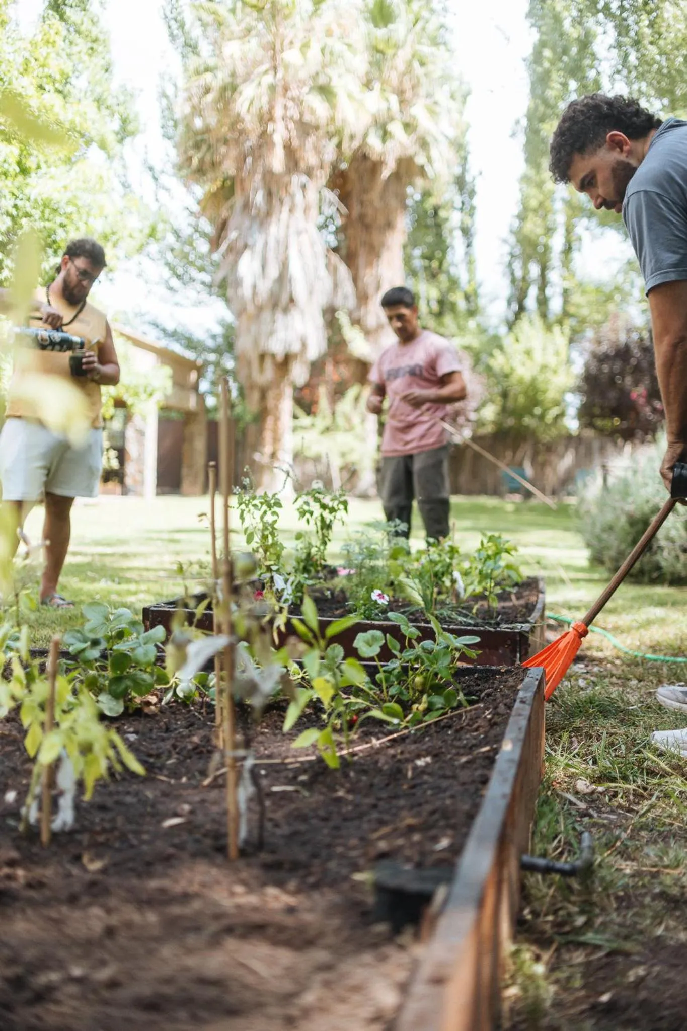 Casa Entonada - Hotel Boutique