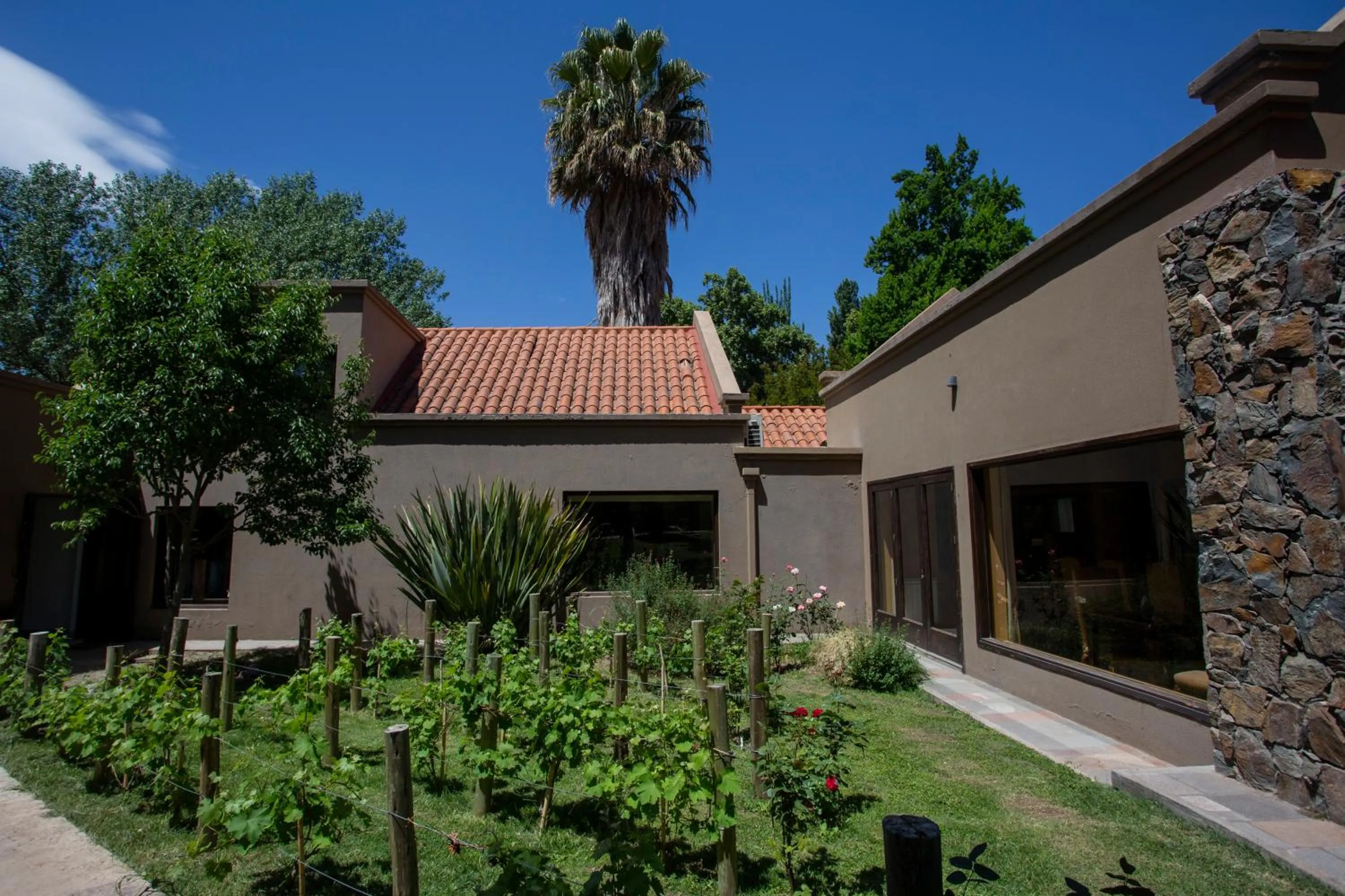 Garden in Casa Entonada - Hotel Boutique