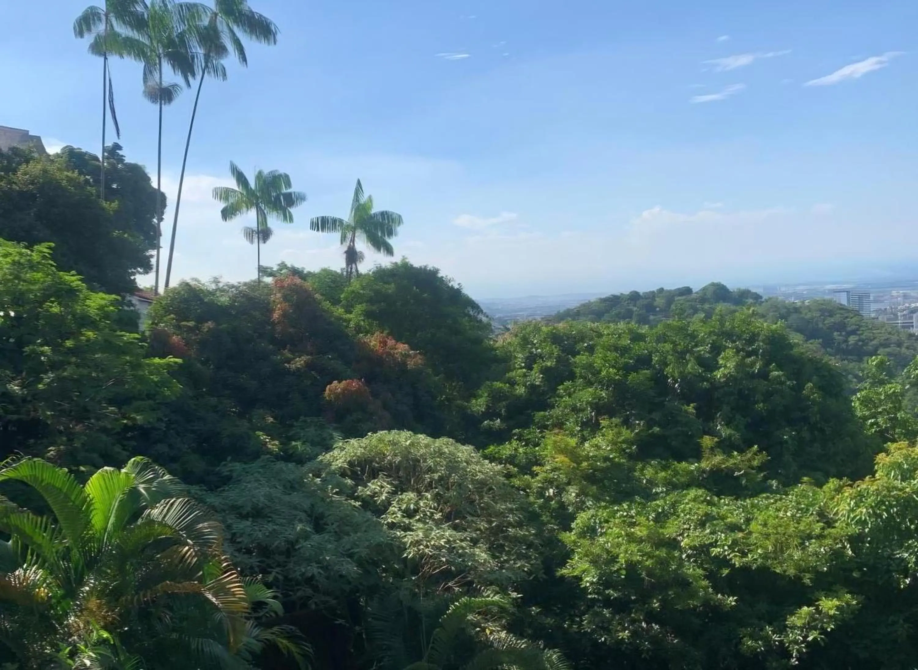 Santa Teresa Junto à Natureza