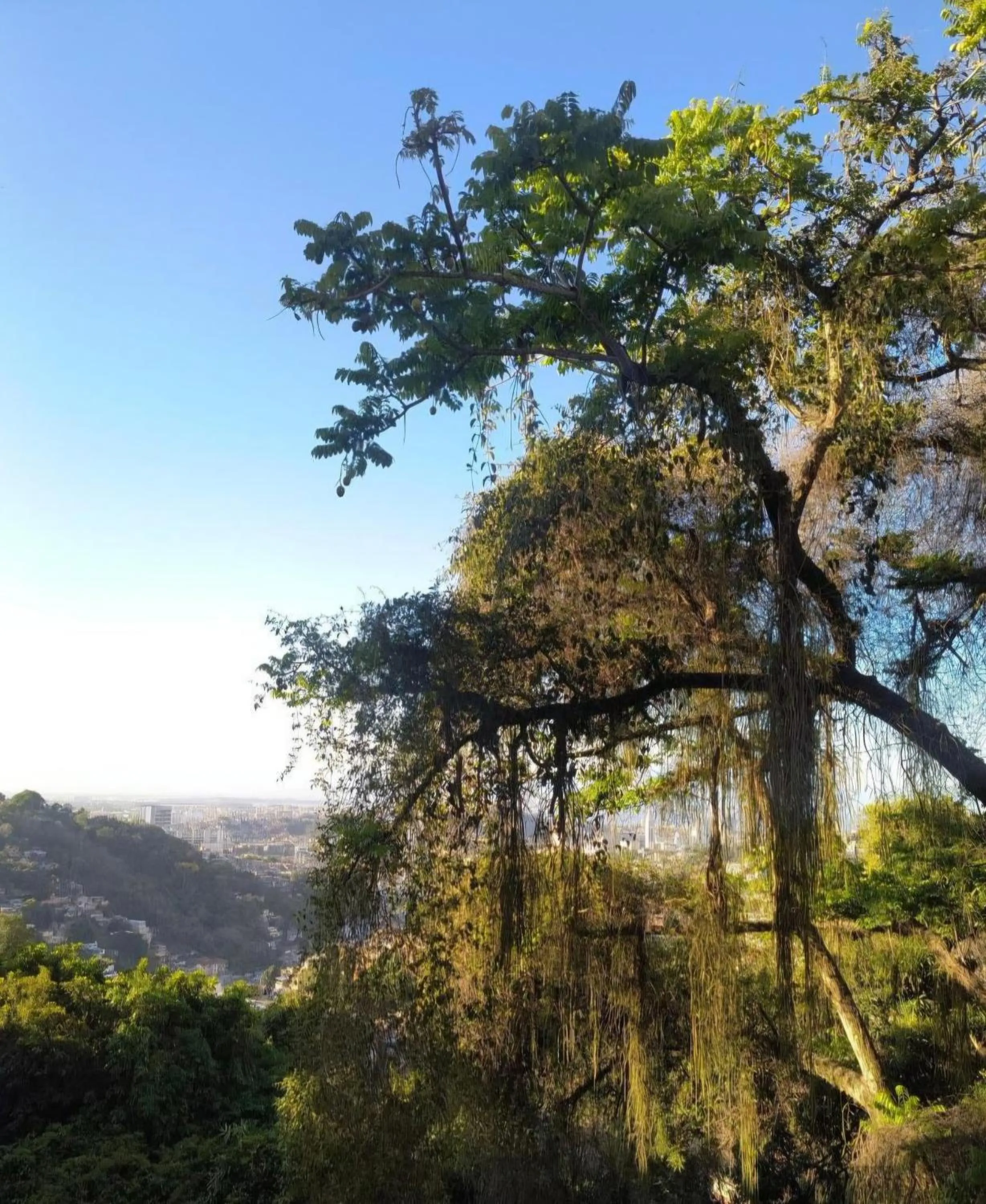 Santa Teresa Junto à Natureza