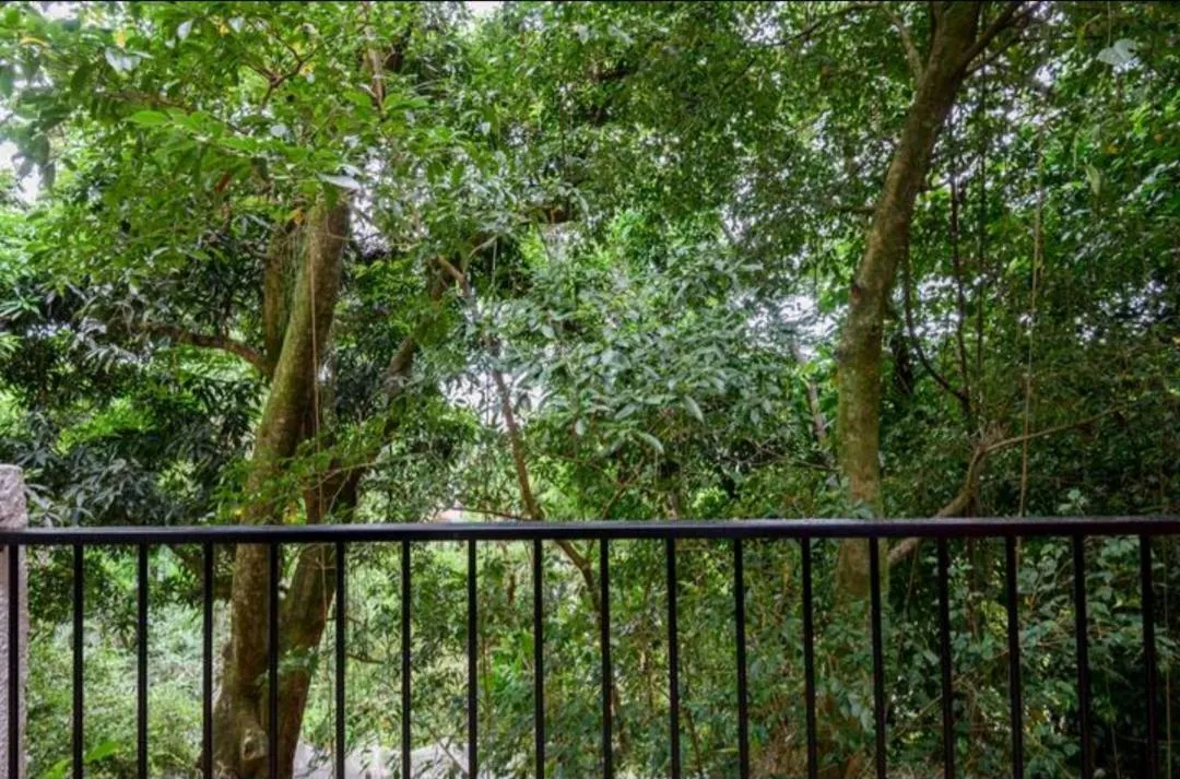 Garden view in Santa Teresa Junto à Natureza