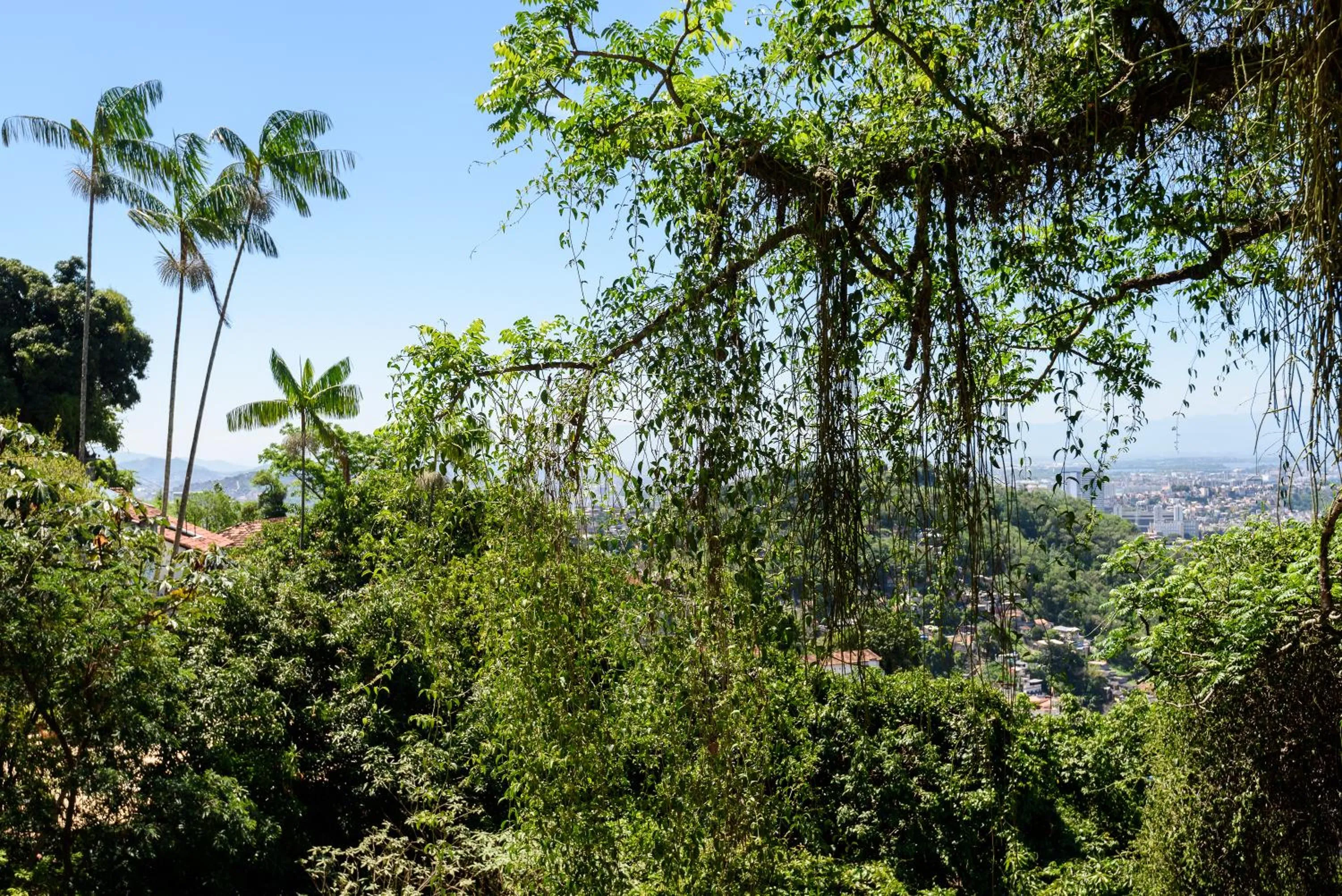 Natural landscape in Santa Teresa Junto à Natureza