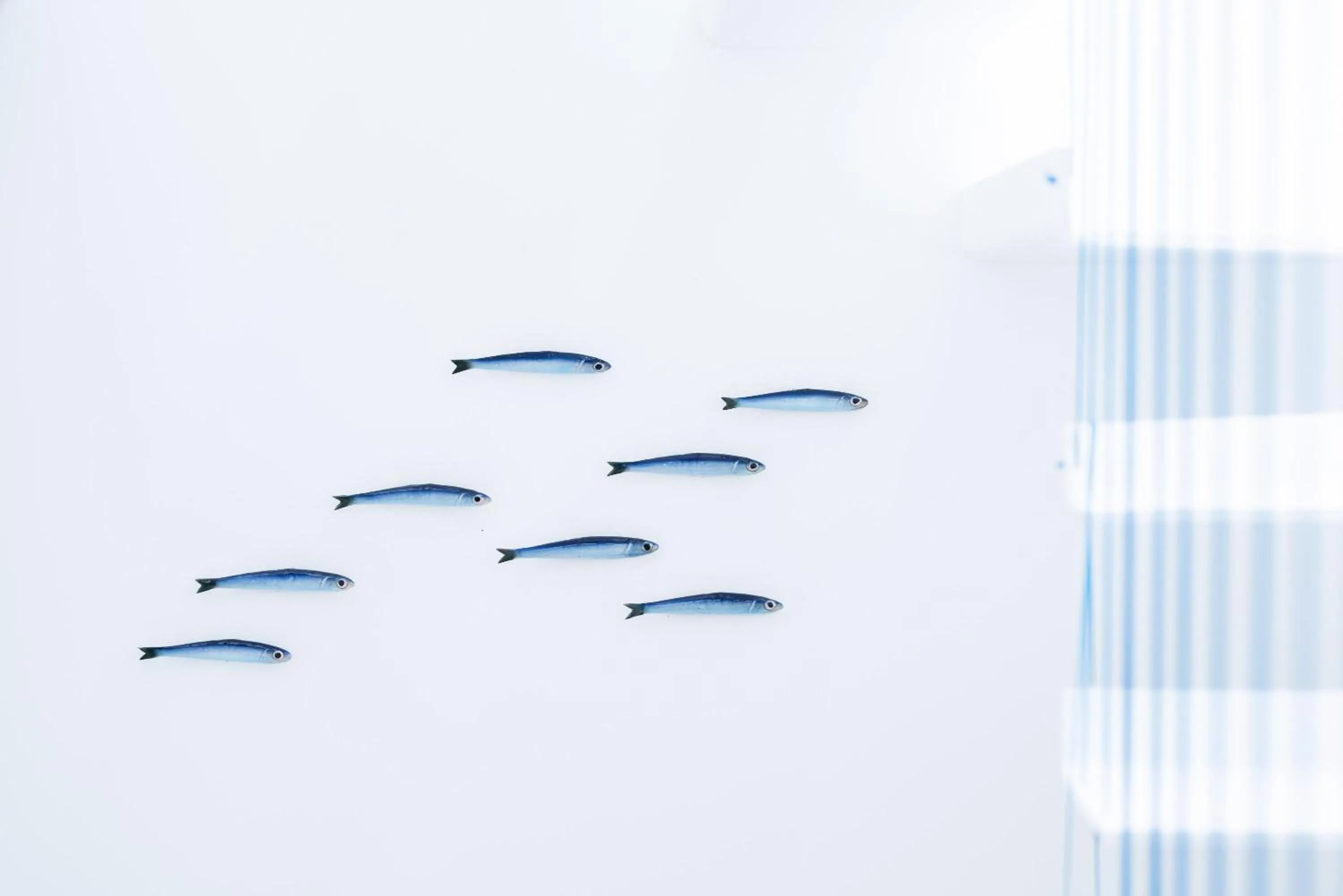 Property building in Lampara