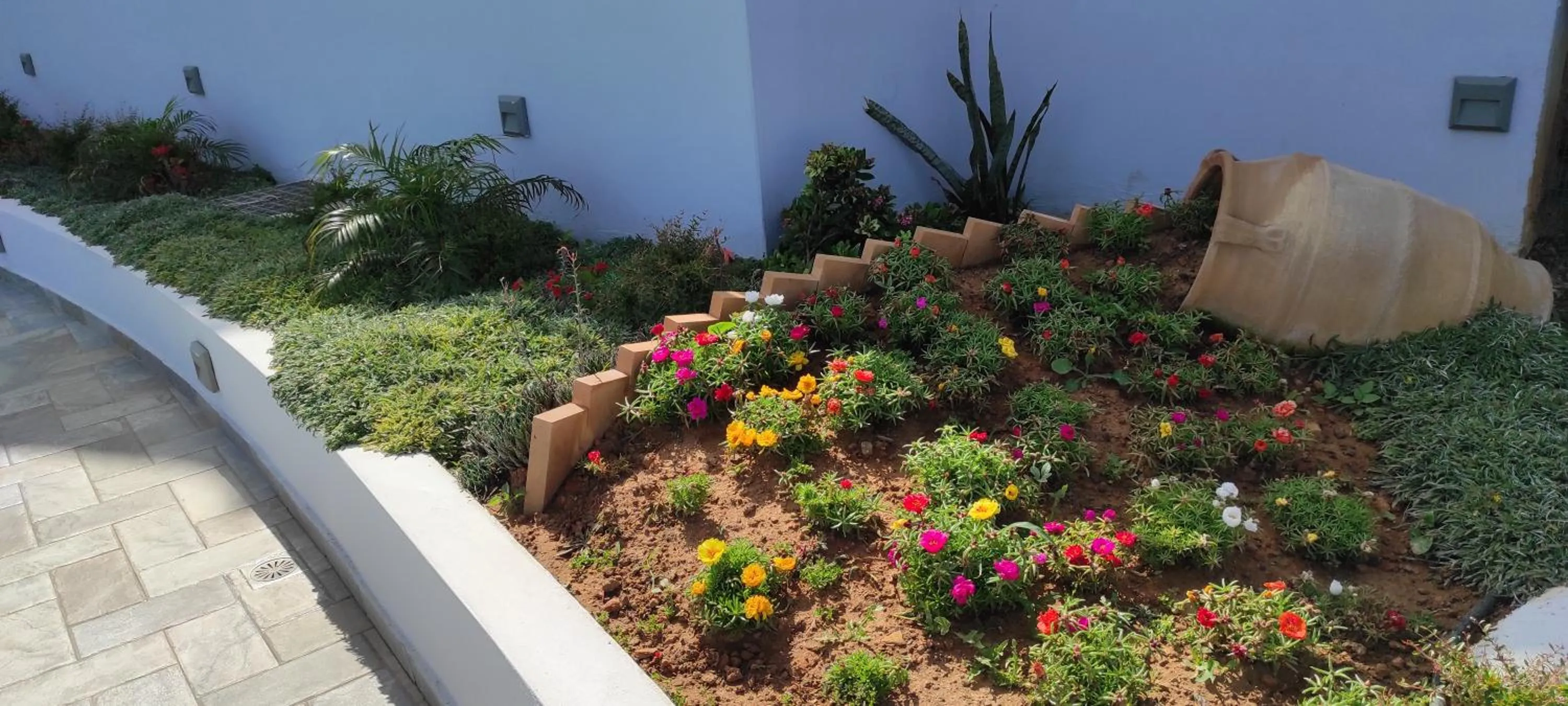 Garden in Sunset Elafonisi Apartments