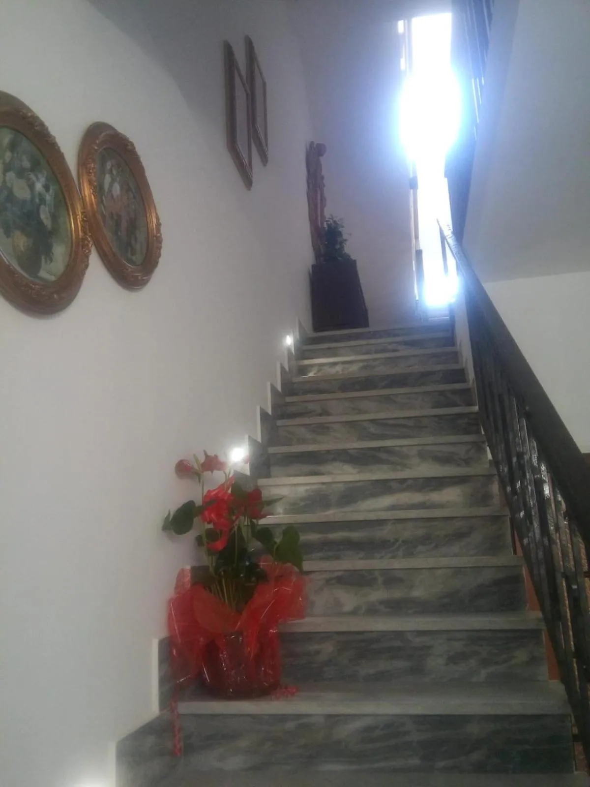 Facade/entrance in Daniela B&B