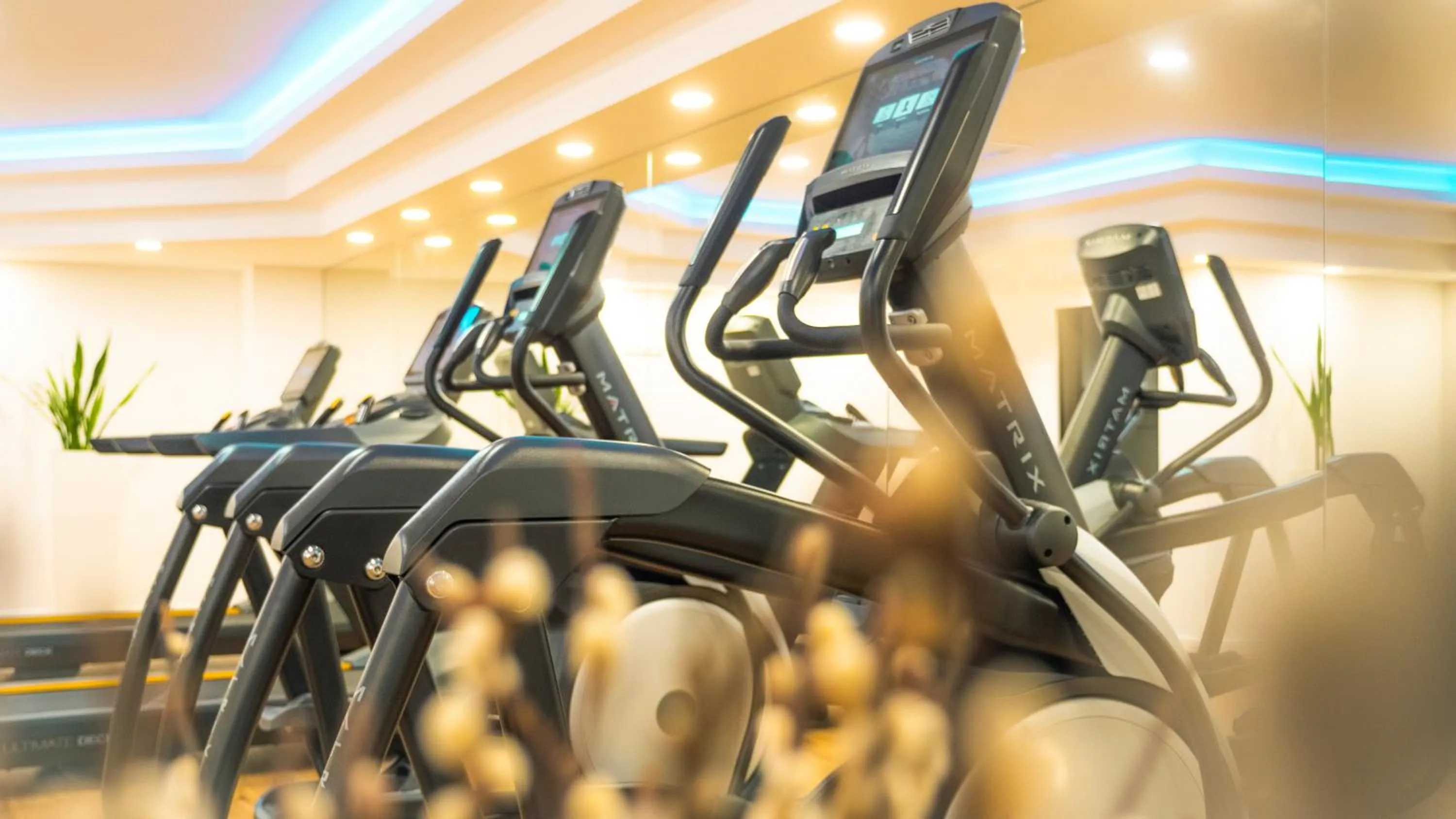 Fitness centre/facilities in Steigenberger Hotel Köln