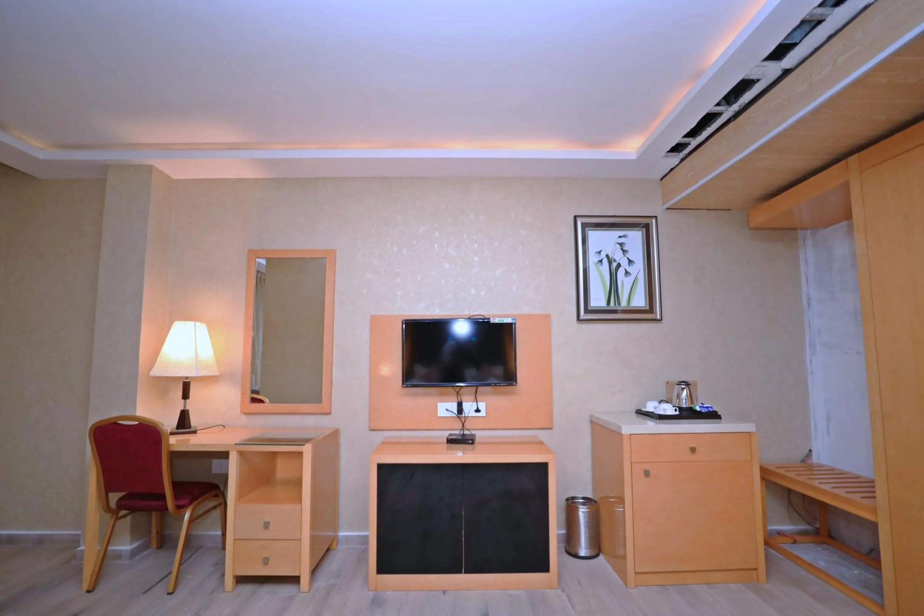 TV and multimedia in Bindiram Express by ShriGo Hotels