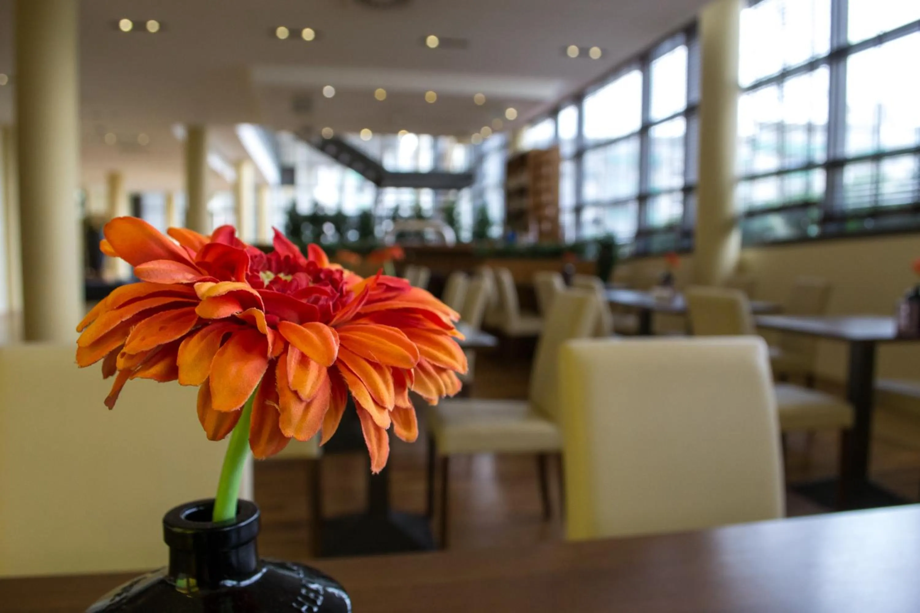 Lounge or bar, Restaurant/Places to Eat in Relexa Hotel Ratingen City