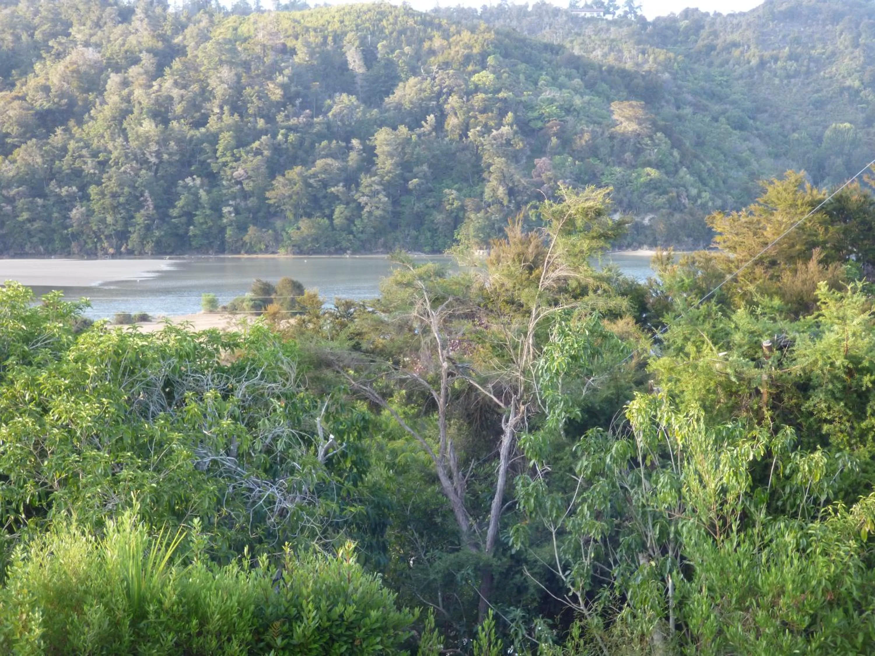 Natural landscape in Kaiteriteri Abel Tasman Inlet Views