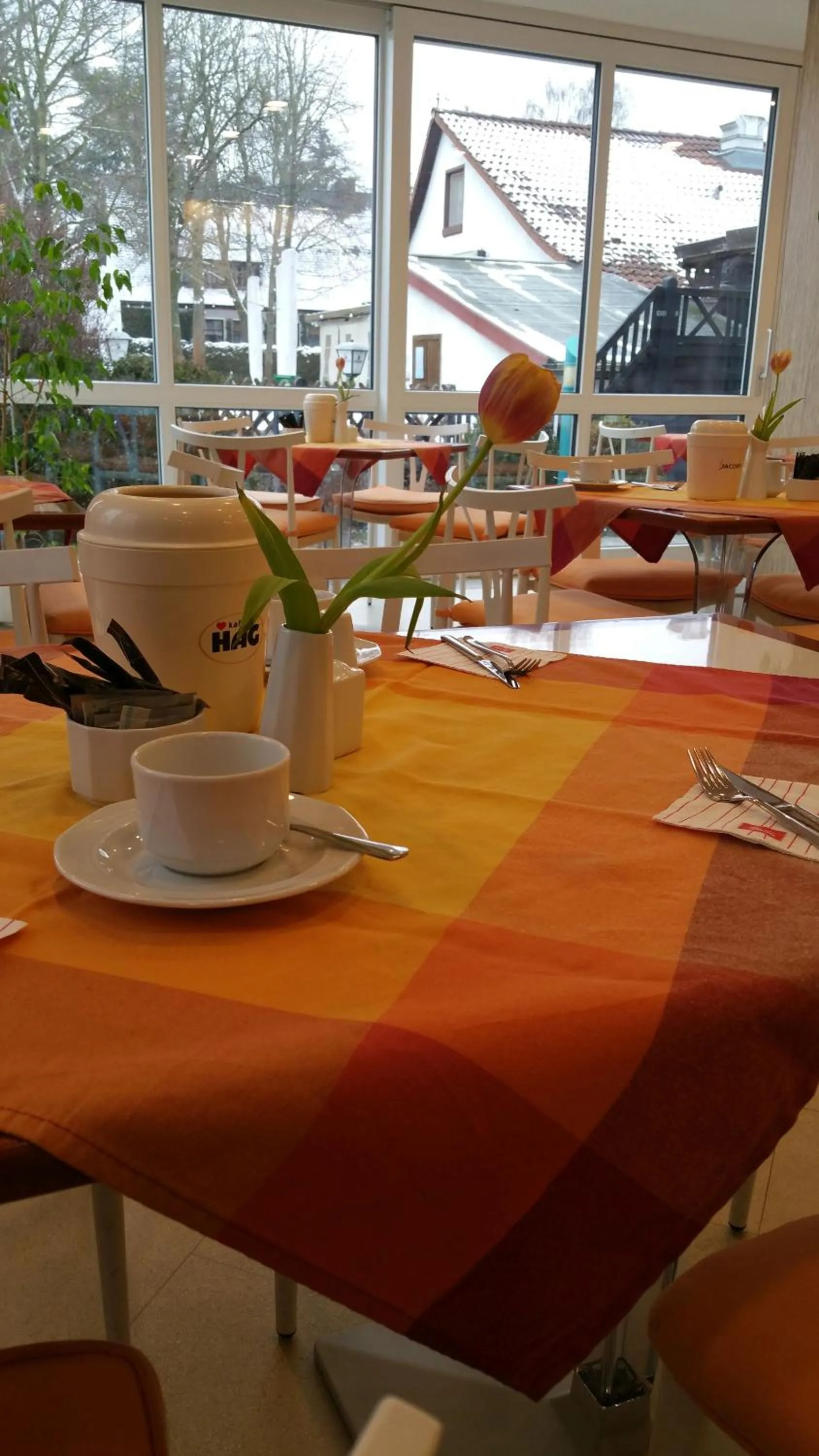 Food and drinks in Hotel Alpha