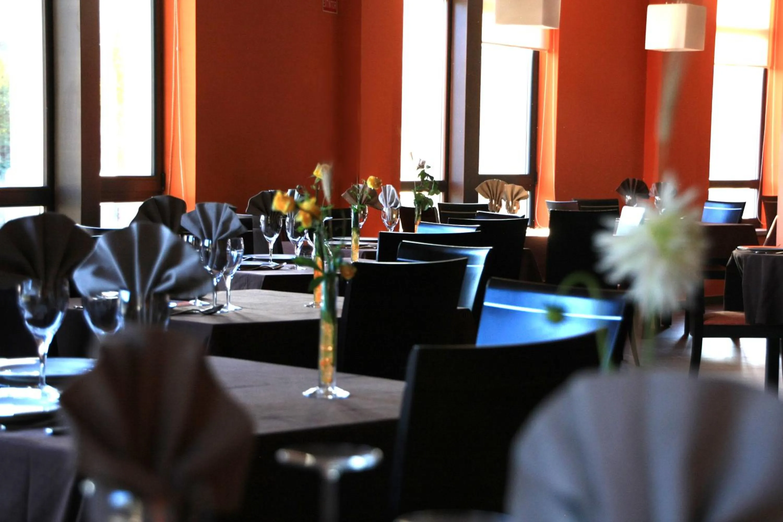 Restaurant/places to eat in Hotel Tremazal