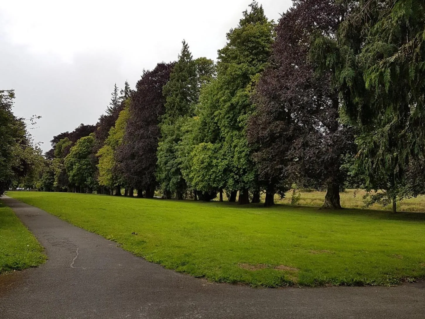 Property building in Bronwye