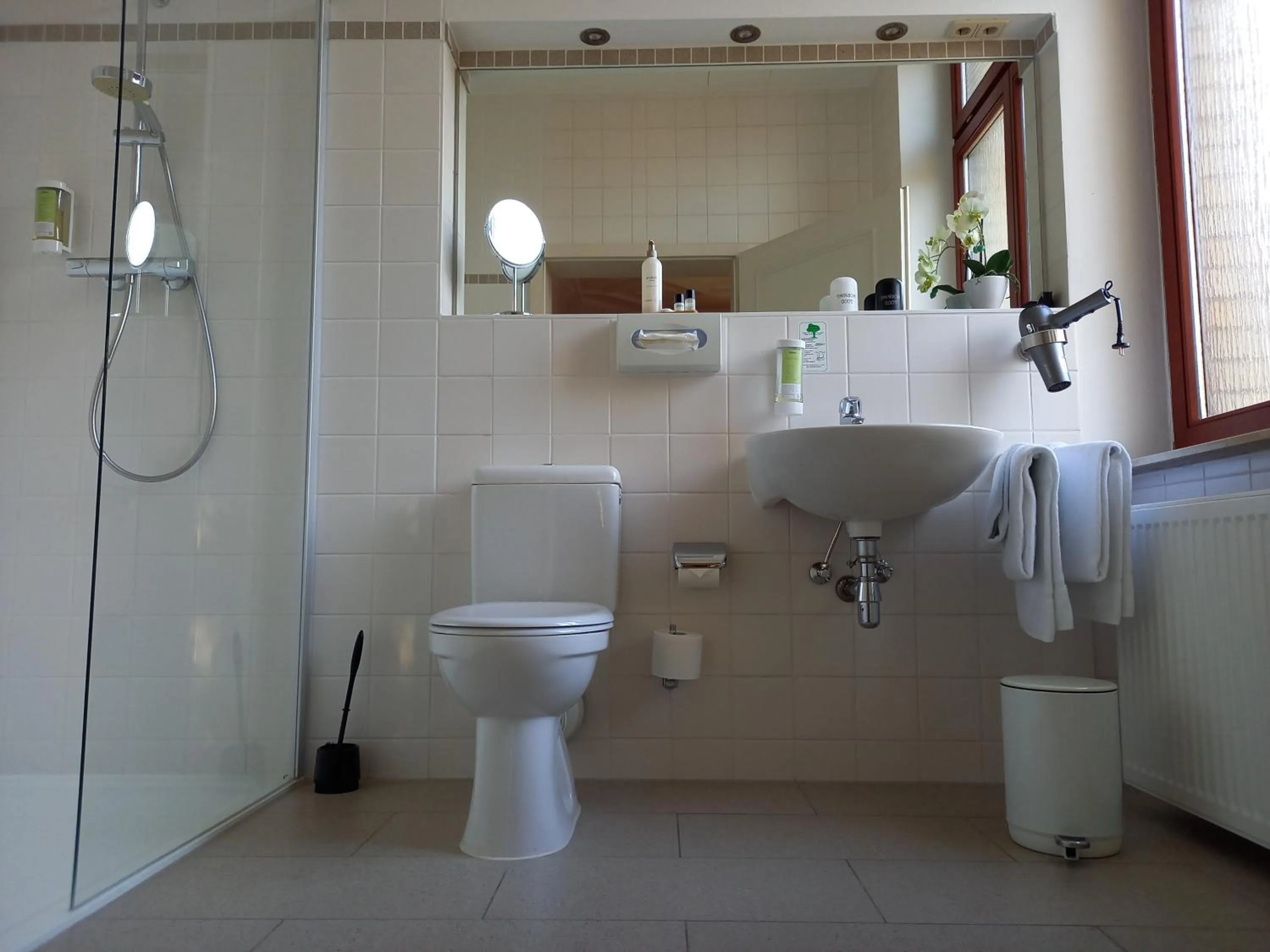 Shower in Hotel Artushof