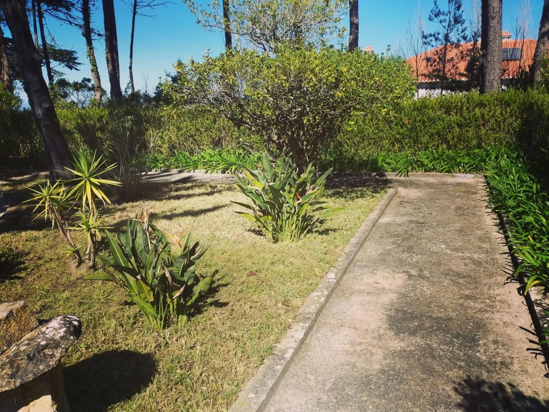 Garden in Villa Aedan Sintra