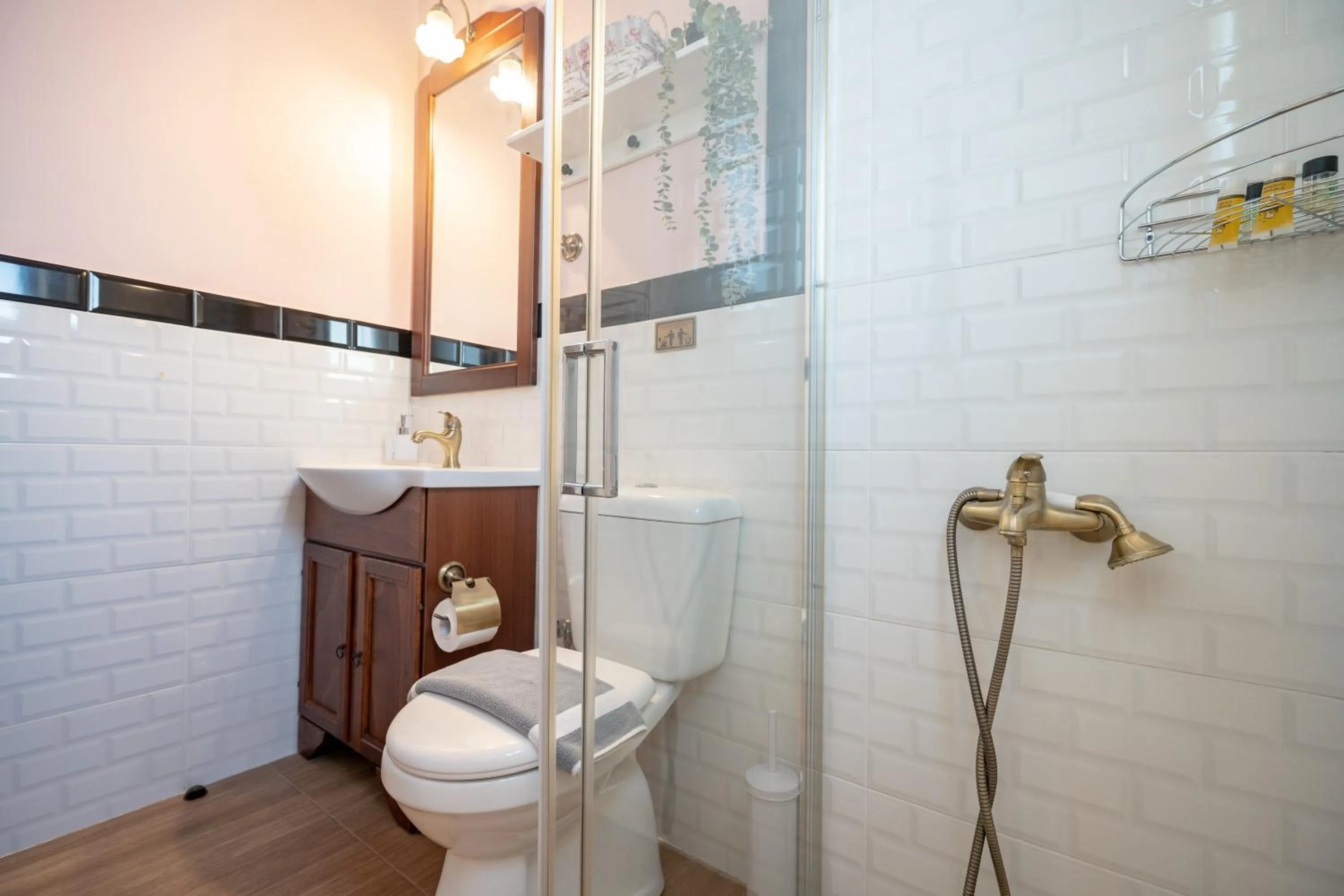 Shower in Olympia's Apartments by Traser