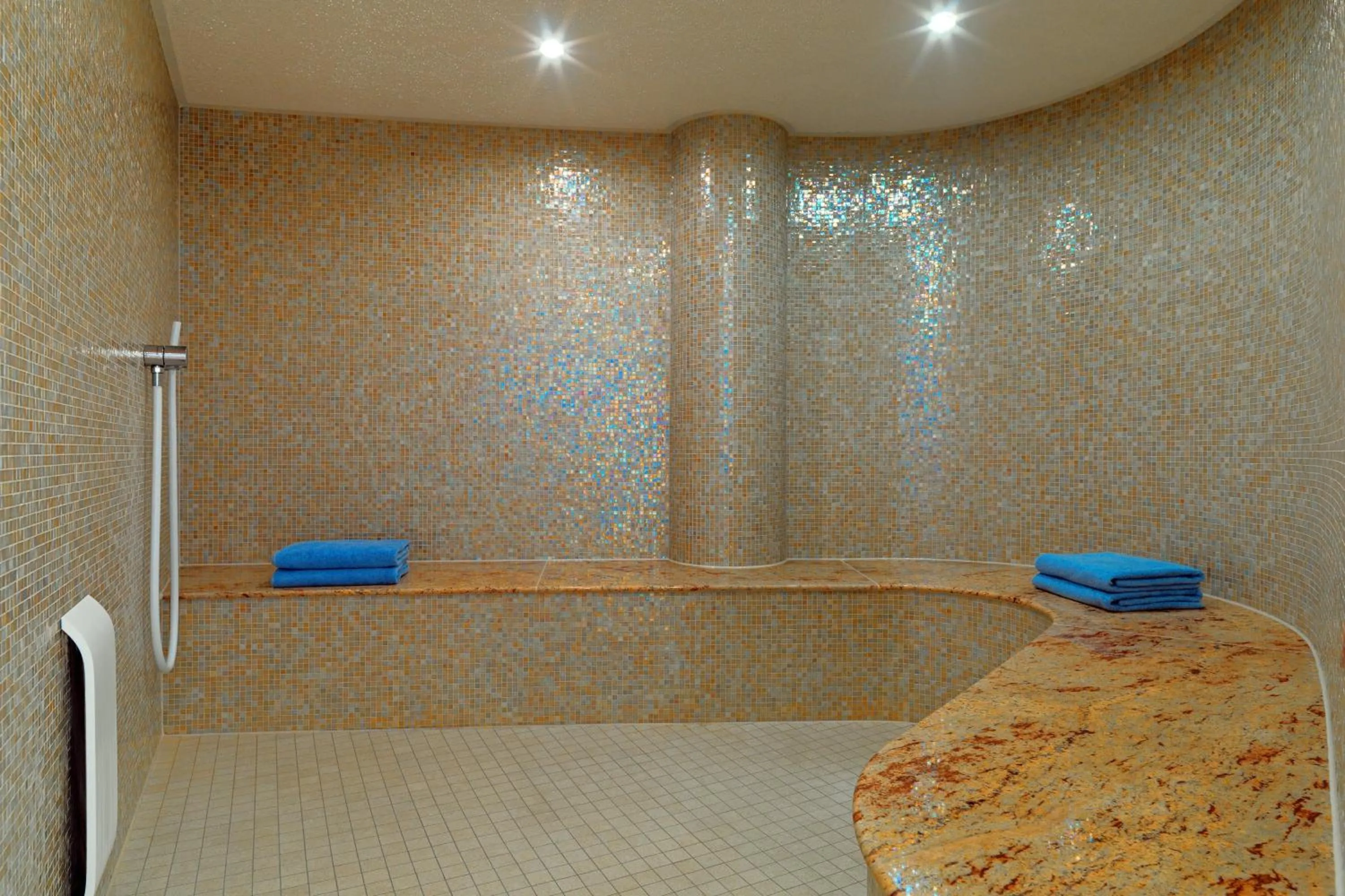 Spa and wellness centre/facilities in Sheraton Carlton Nuernberg