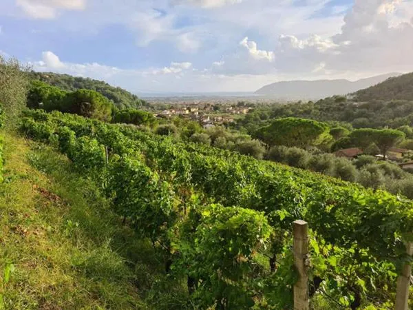 Agriturismo La Carreccia