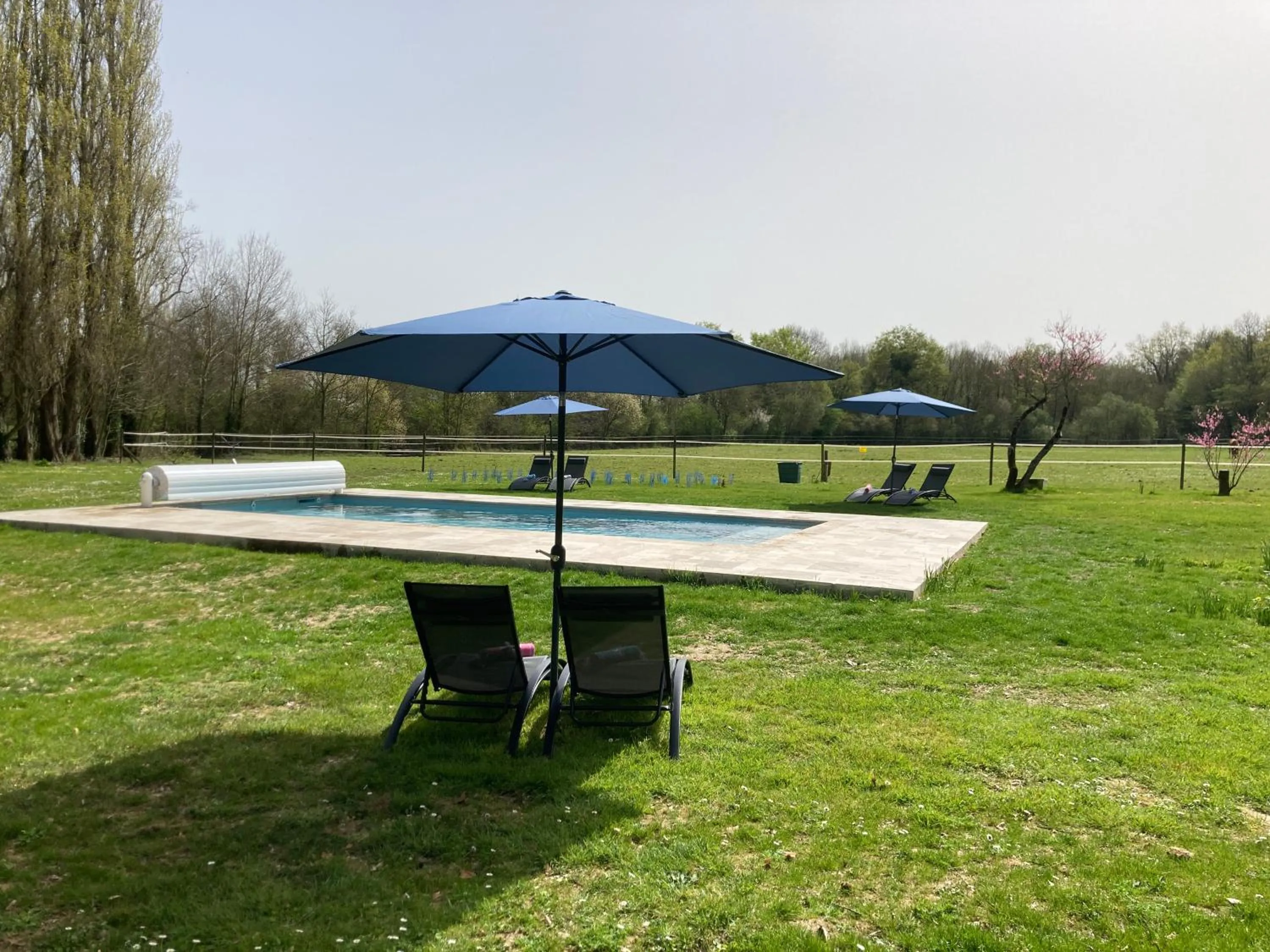 Garden in Château de la Preuille Bed & Breakfast