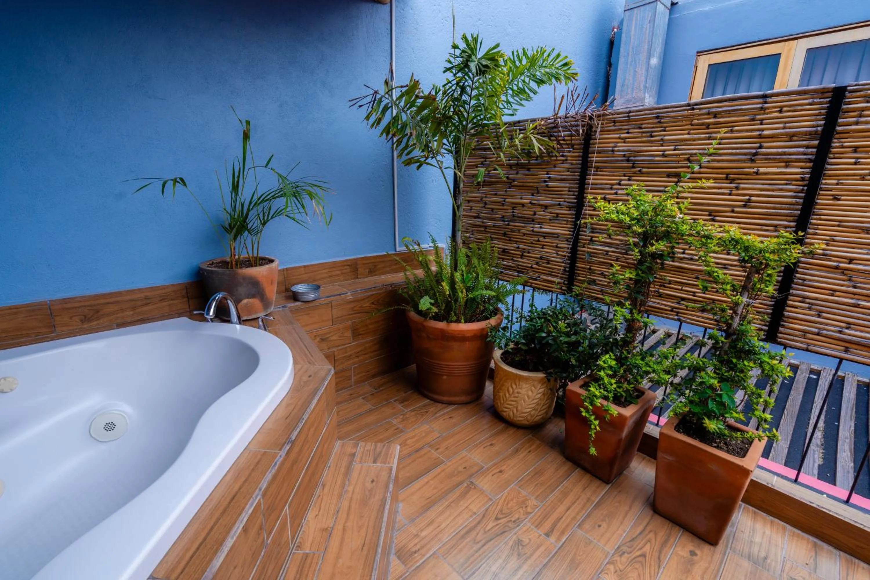 Garden view in Hotel Casa de Arte Oaxaca