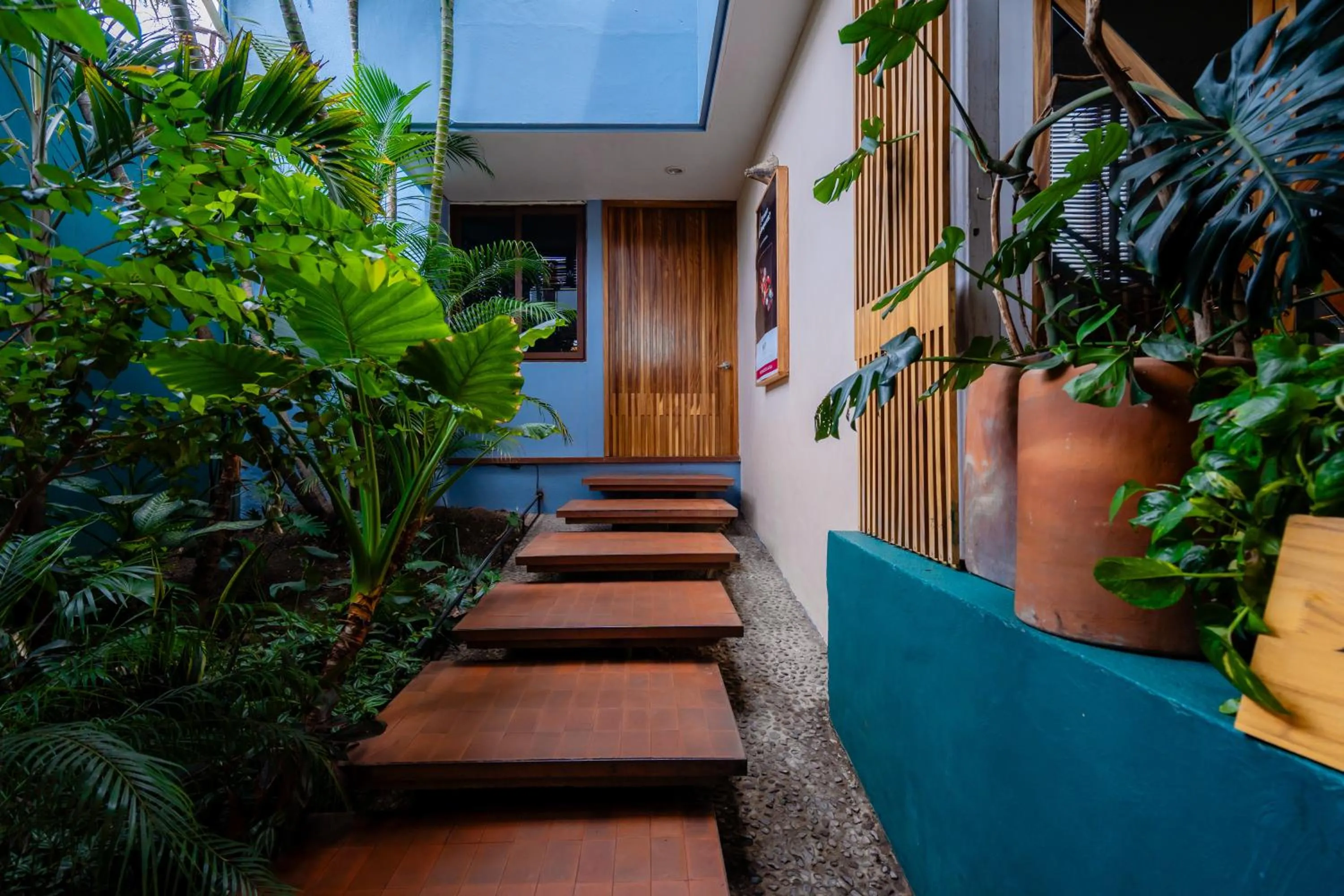 Garden in Hotel Casa de Arte Oaxaca