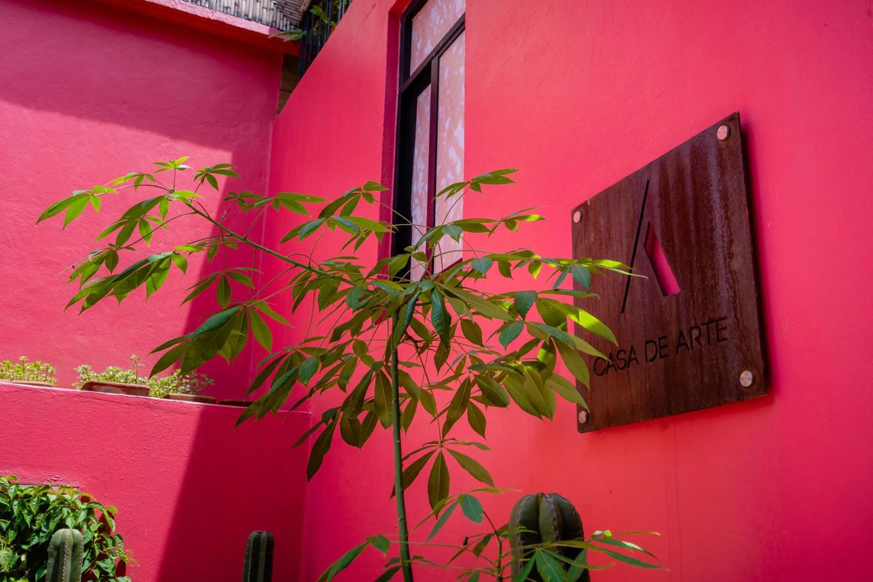Garden view in Hotel Casa de Arte Oaxaca