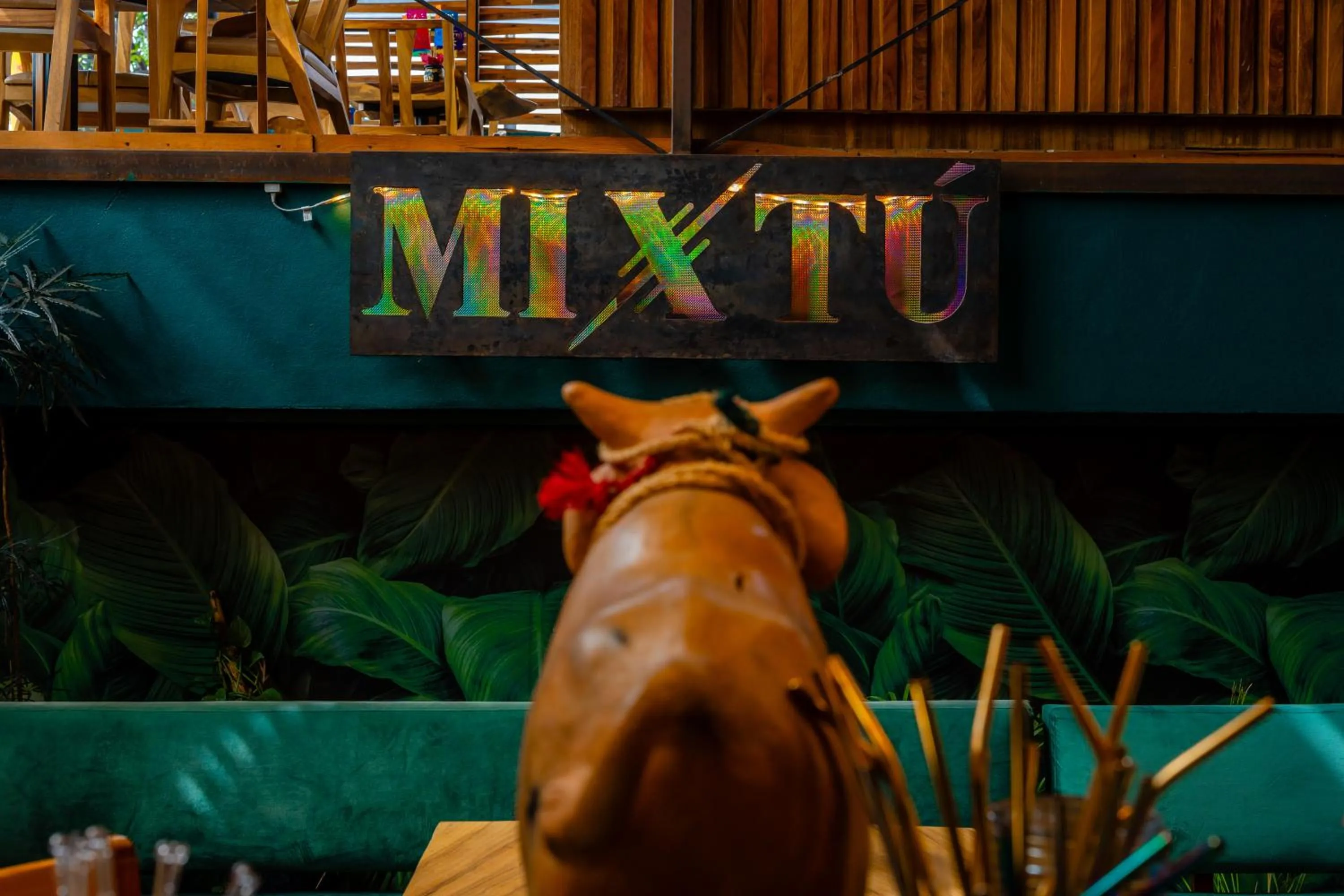 Animals in Hotel Casa de Arte Oaxaca