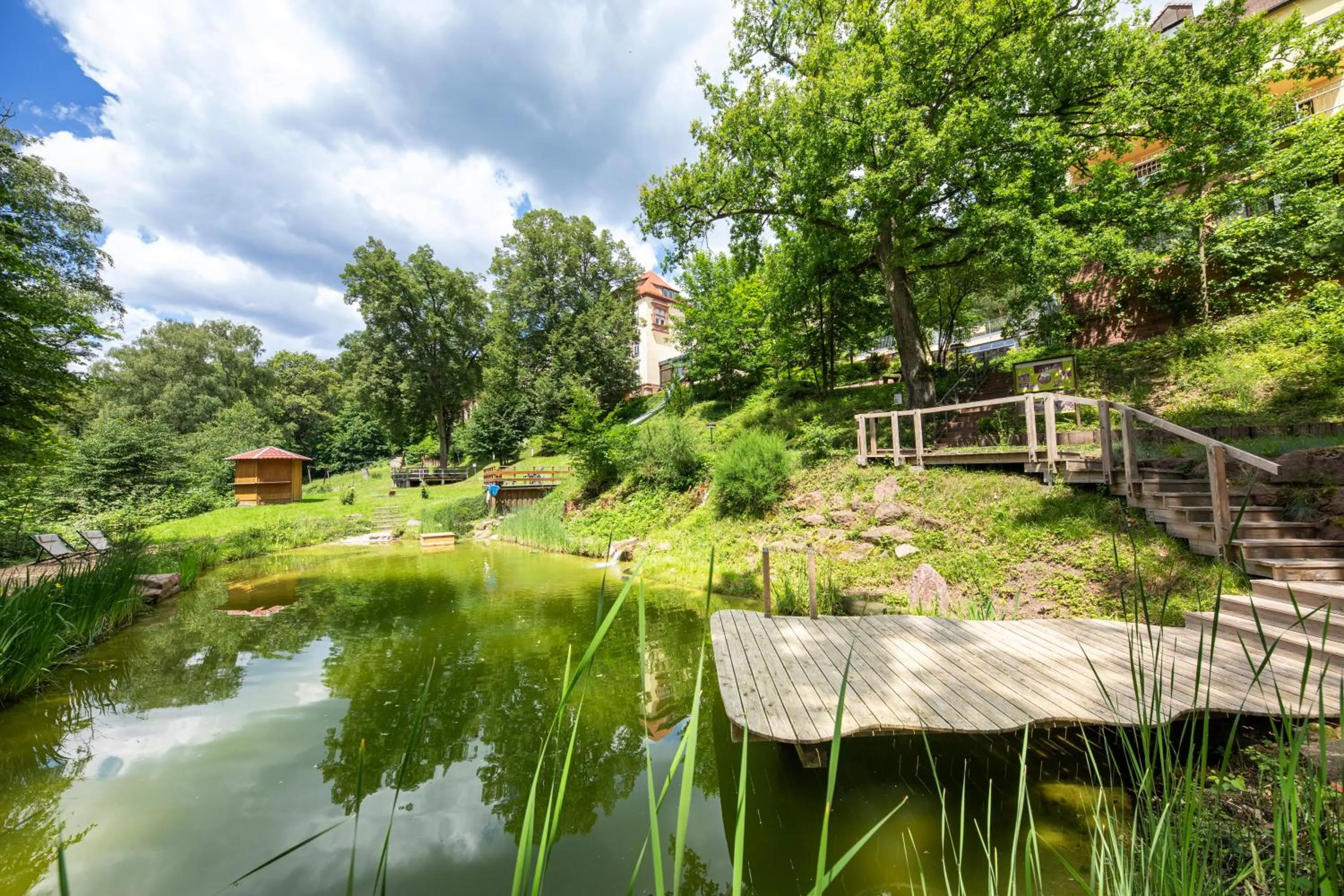 Area and facilities in Michel Hotel Franziskushöhe Lohr am Main
