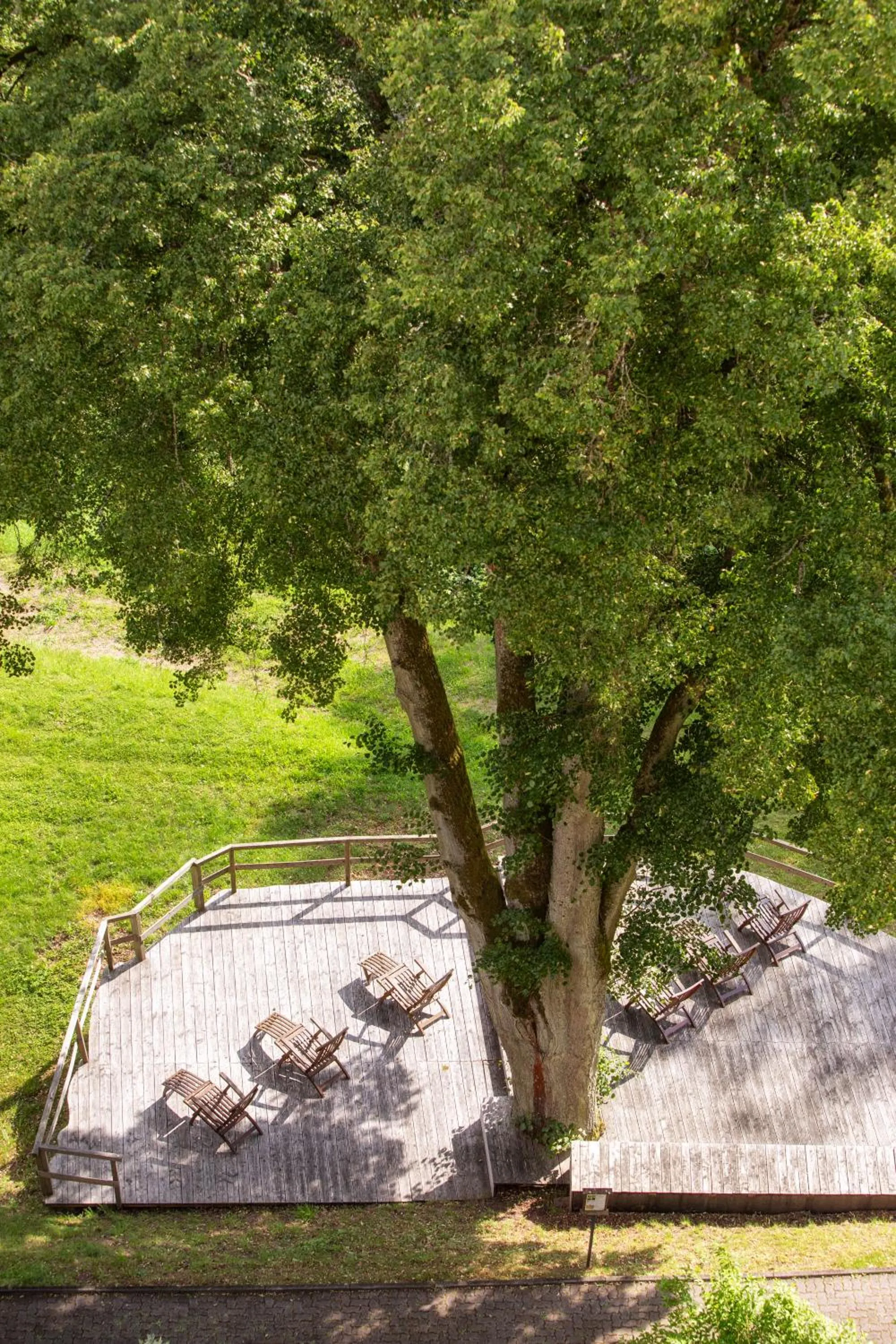 Area and facilities in Michel Hotel Franziskushöhe Lohr am Main