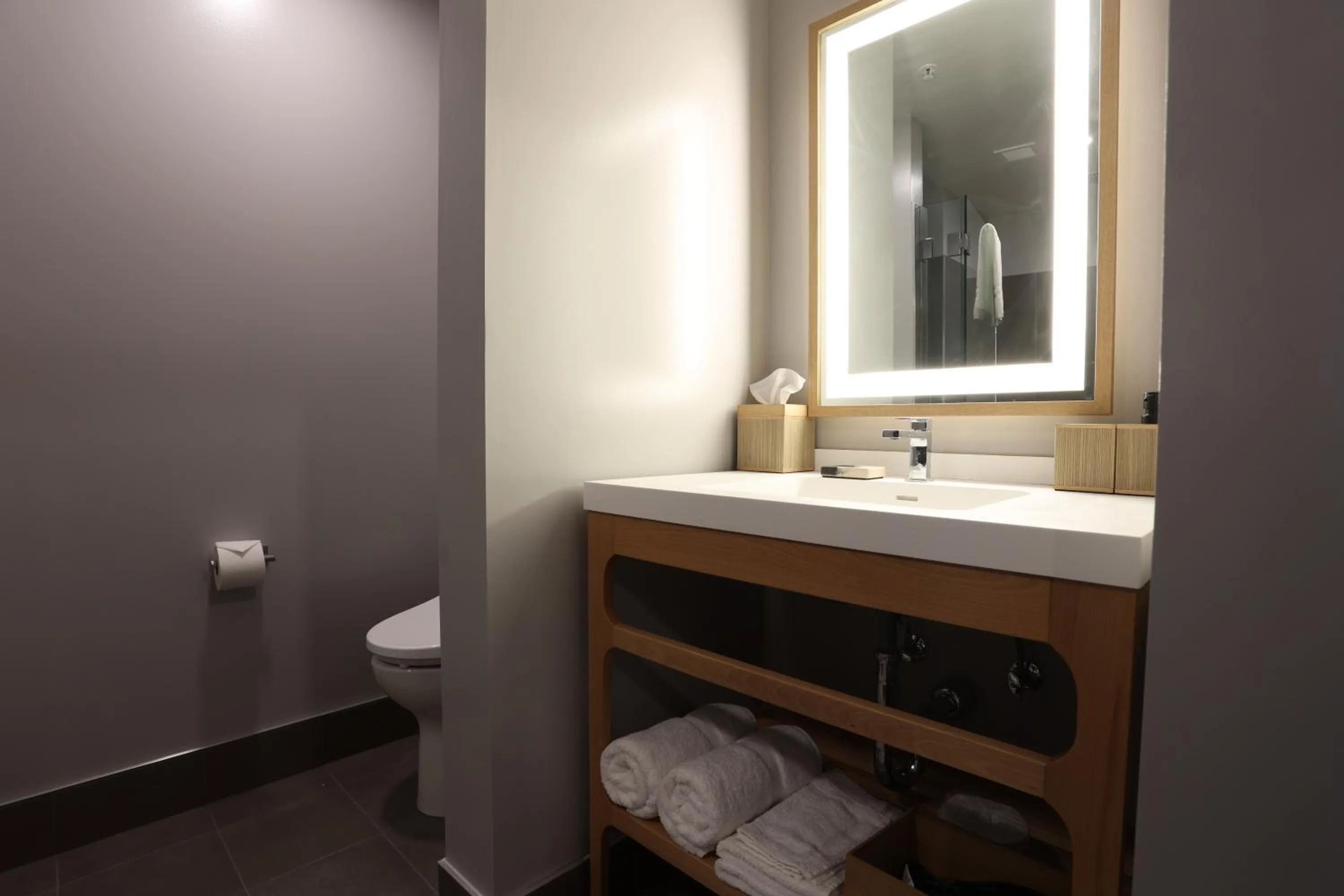 Bathroom in Cedartree Hotel Portland Hillsboro