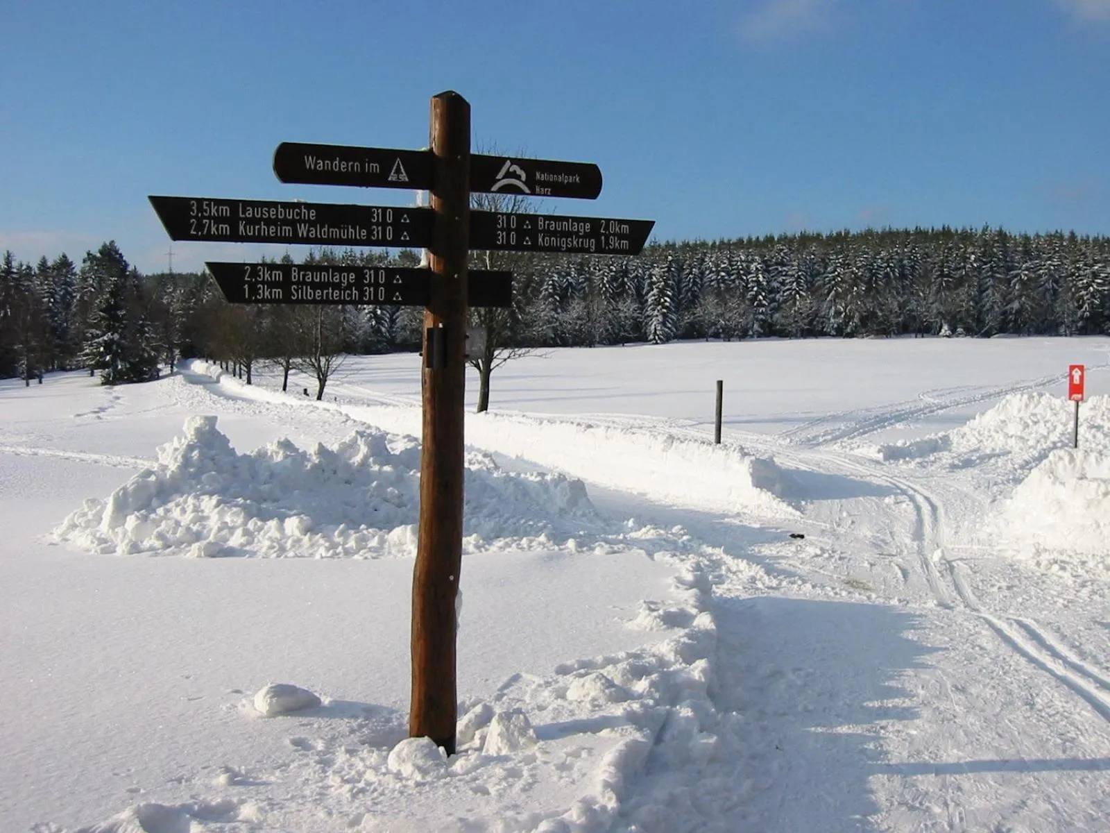 Natural landscape in Primum Hotel Braunlage