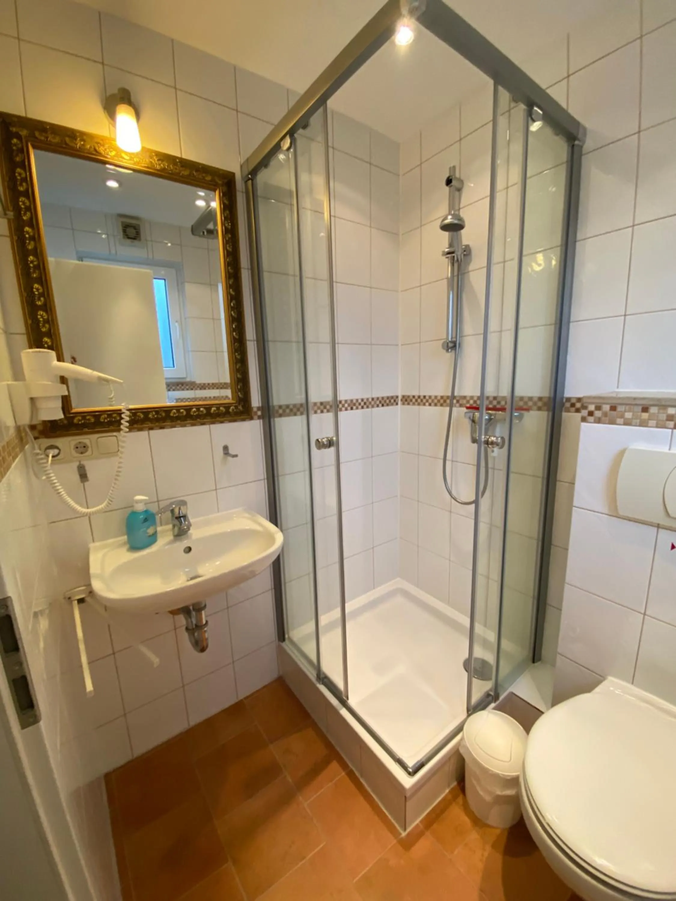 Shower, Bathroom in Harzidyll