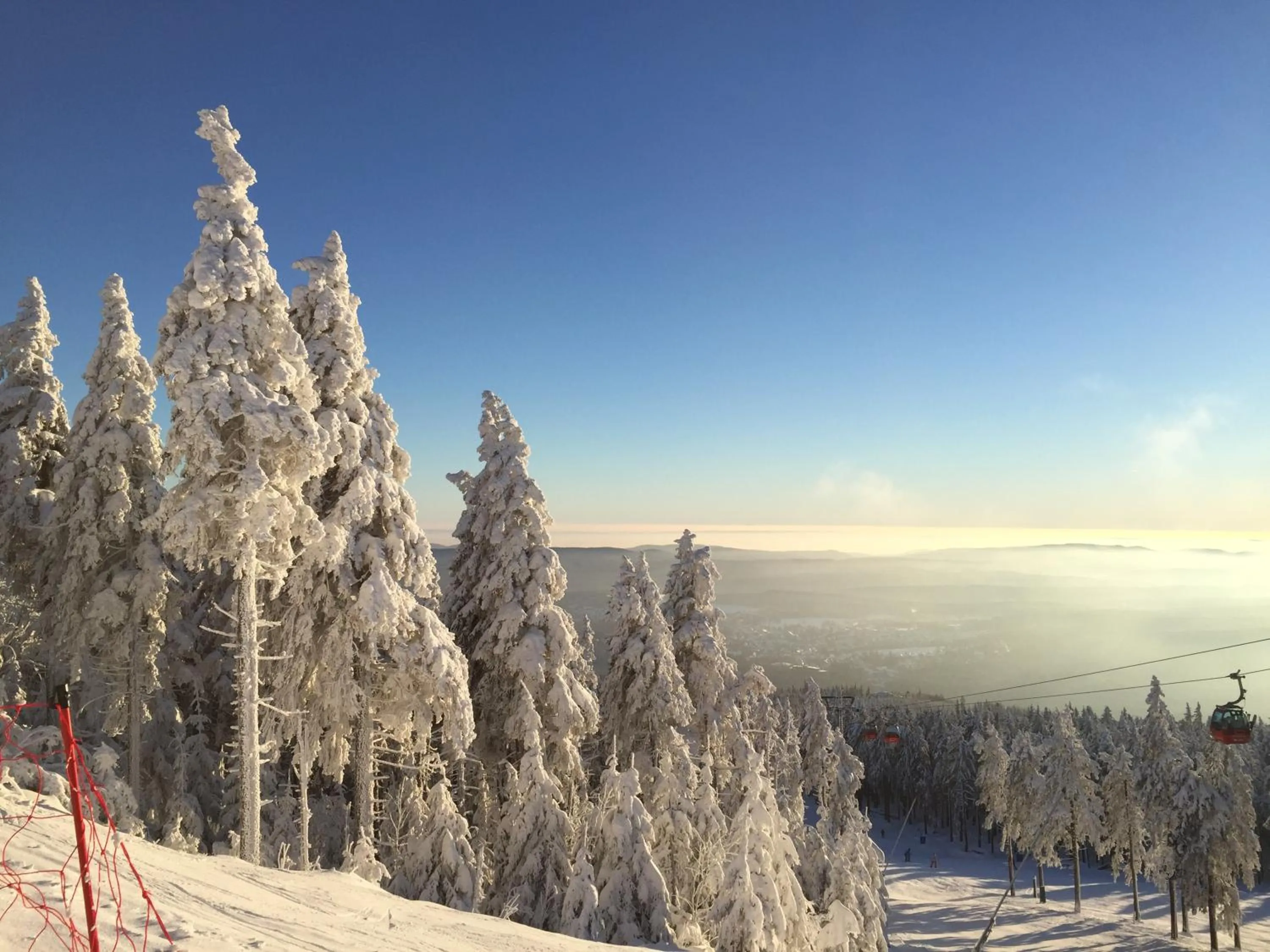 Natural landscape in Harzidyll