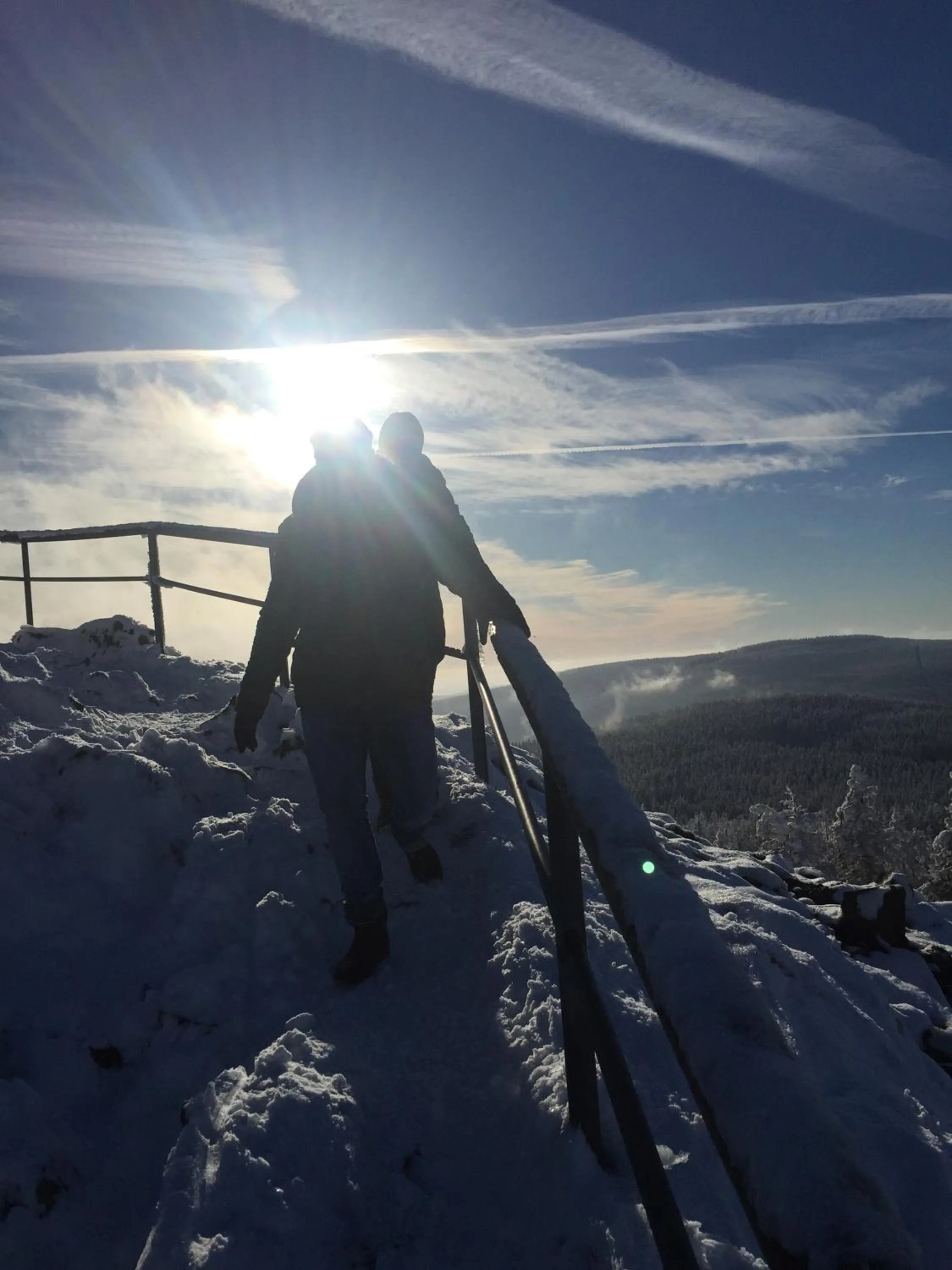 Natural landscape in Harzidyll