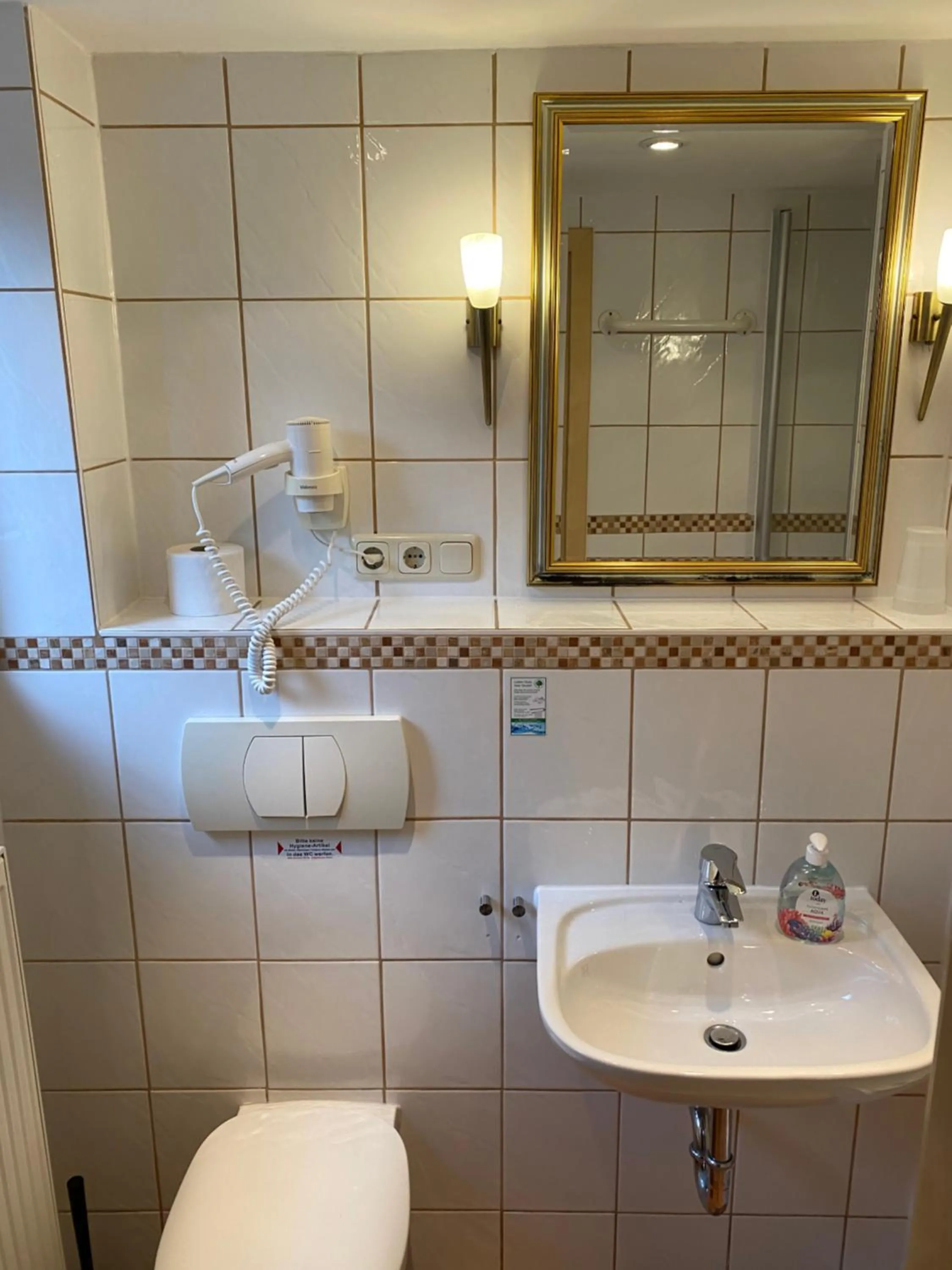 Toilet, Bathroom in Harzidyll