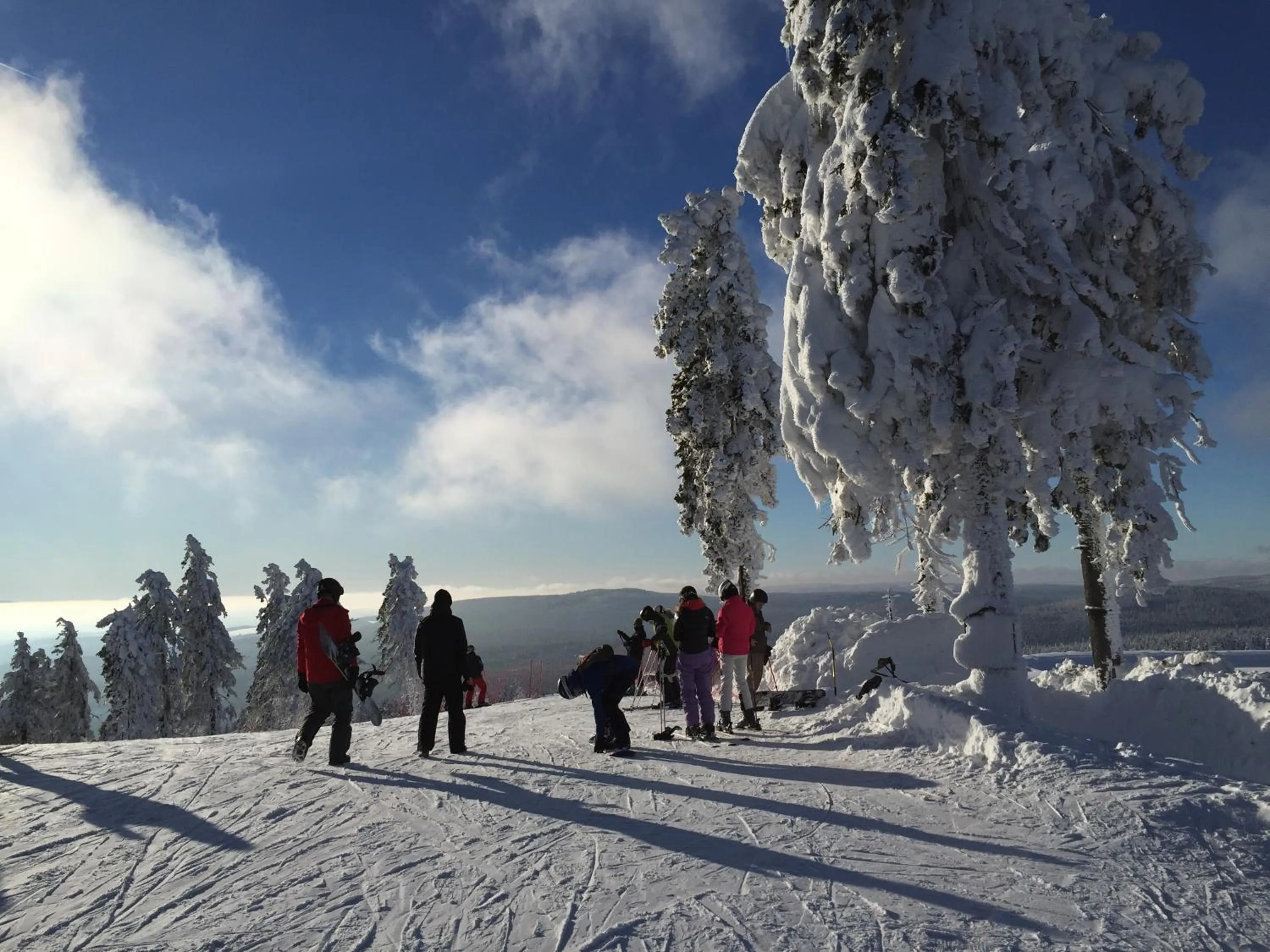 People, Winter in Harzidyll