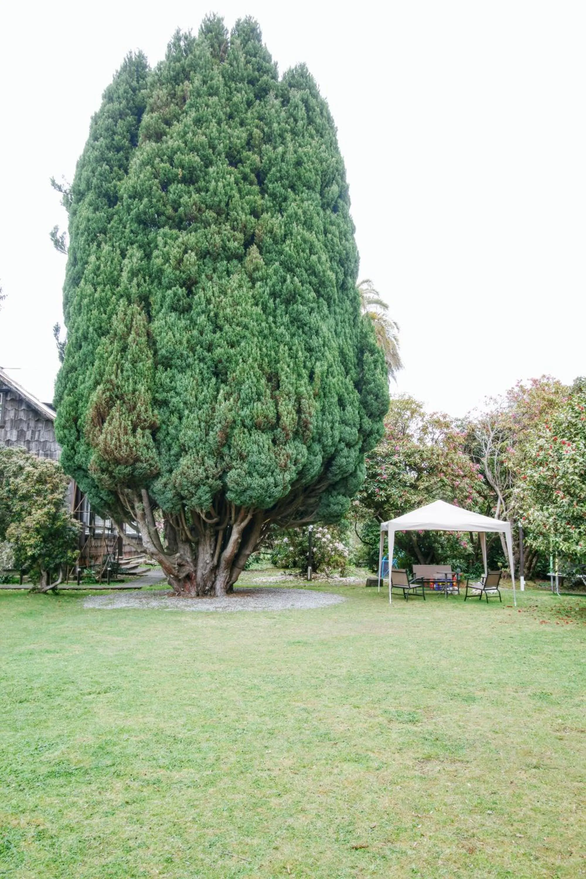 Property building in Casona Alemana