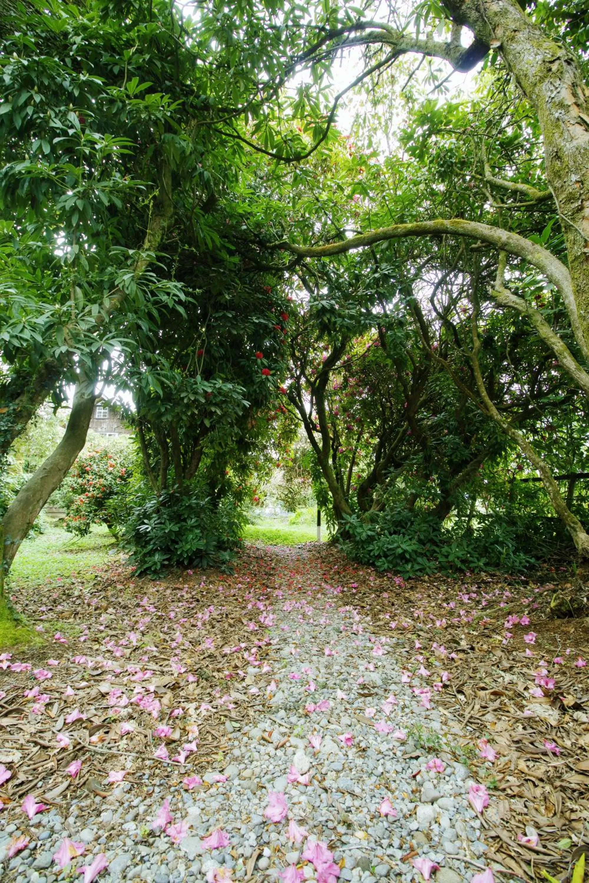 Property building in Casona Alemana