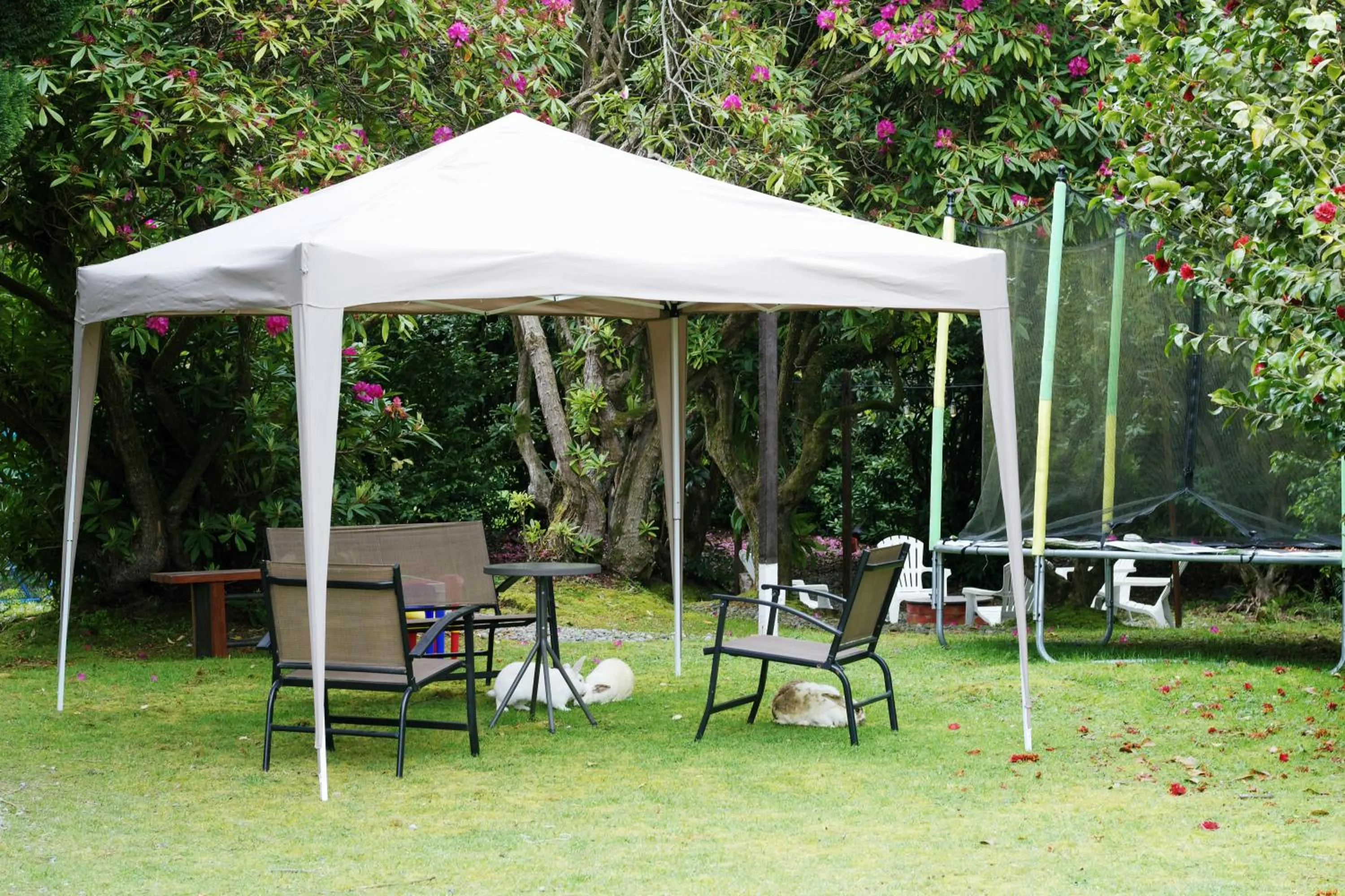 Property building in Casona Alemana