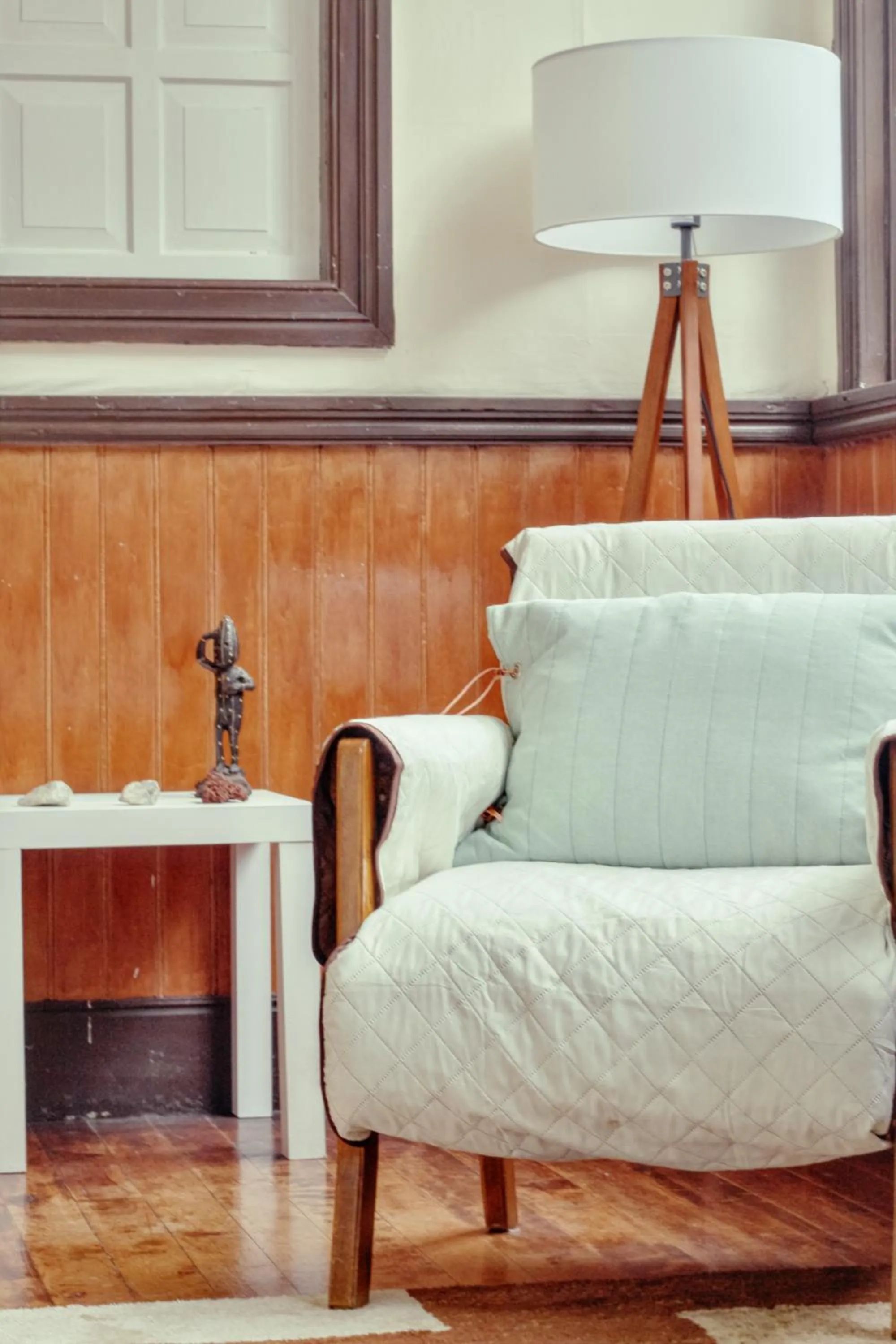 Library in Casona Alemana