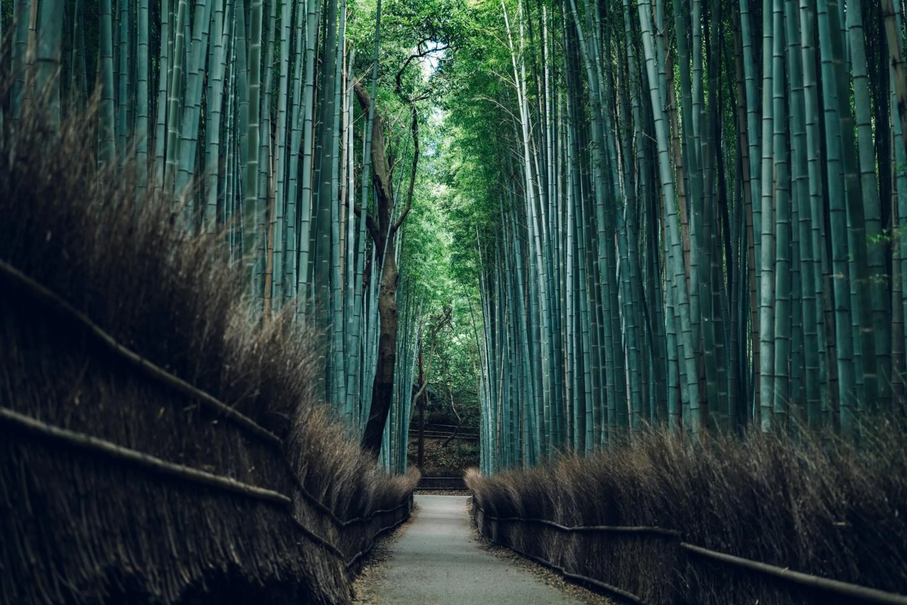 Nearby landmark in Muni Kyoto