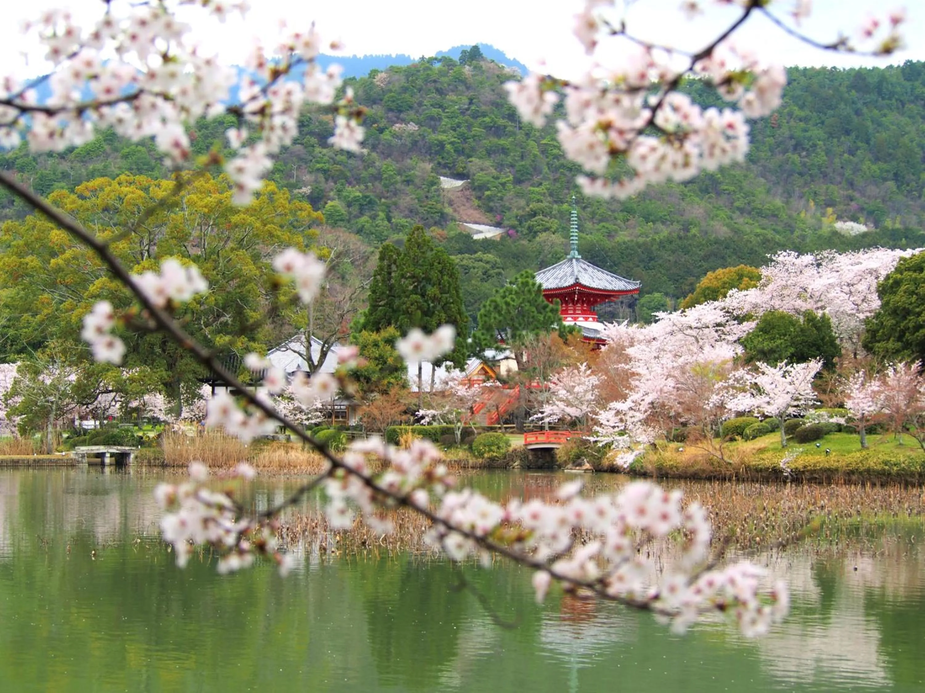 Nearby landmark in Muni Kyoto